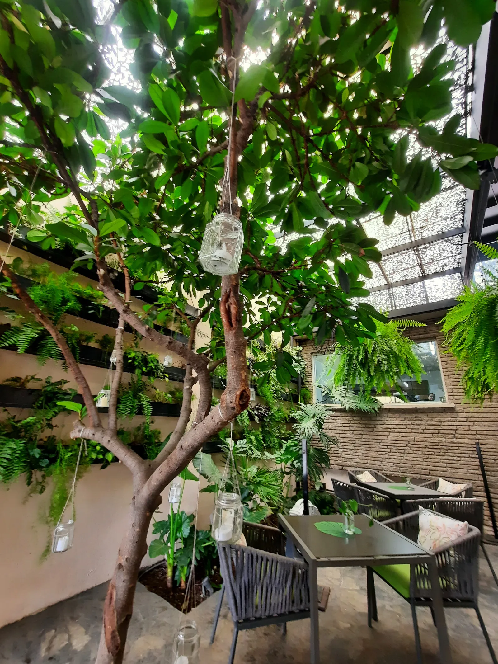 Oasis restaurante-terraza-eventos image 7