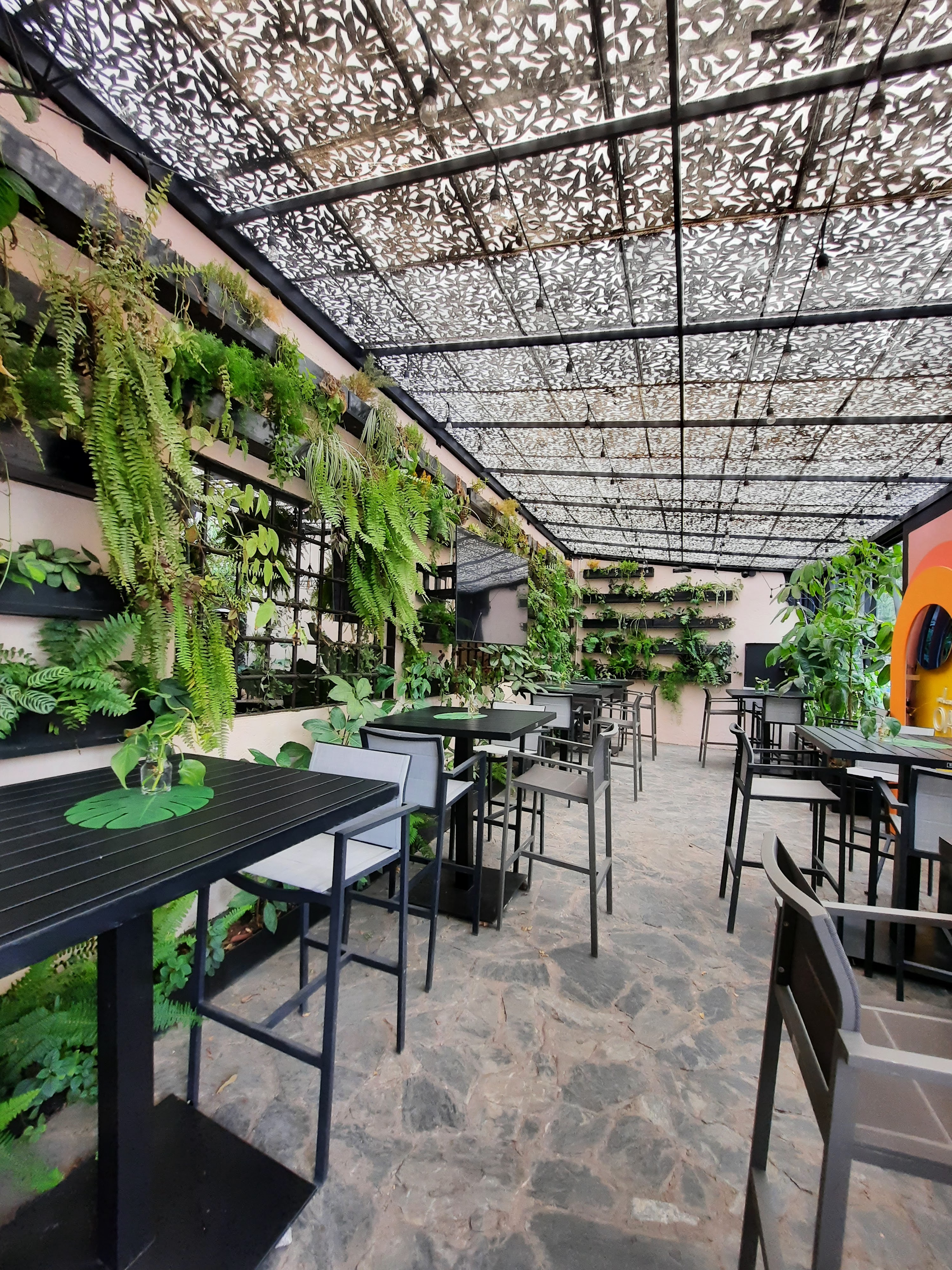 Oasis restaurante-terraza-eventos image 8