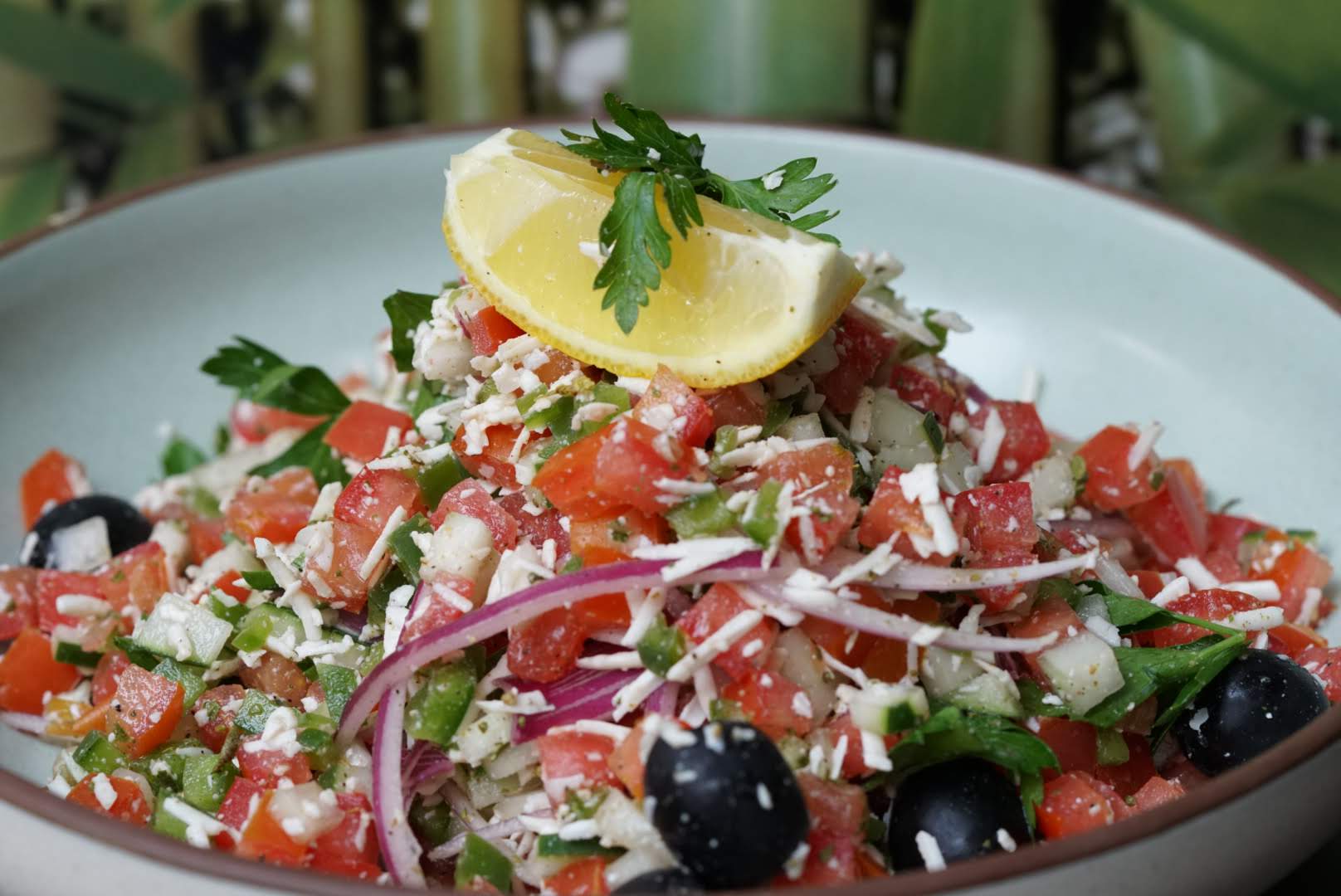 Oasis restaurante-terraza-eventos image 9