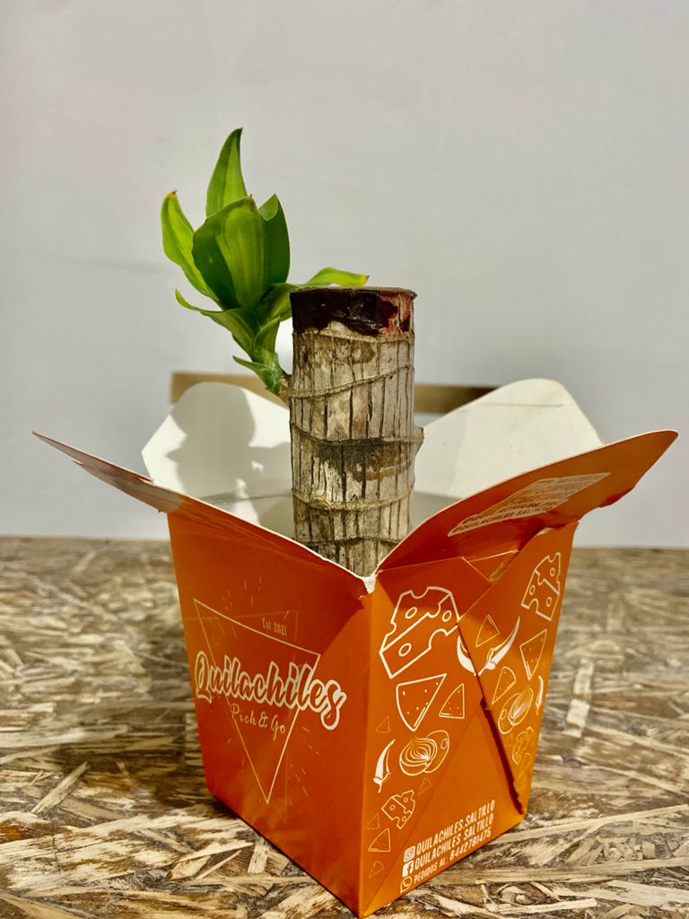 Quilachiles pick & go image 5