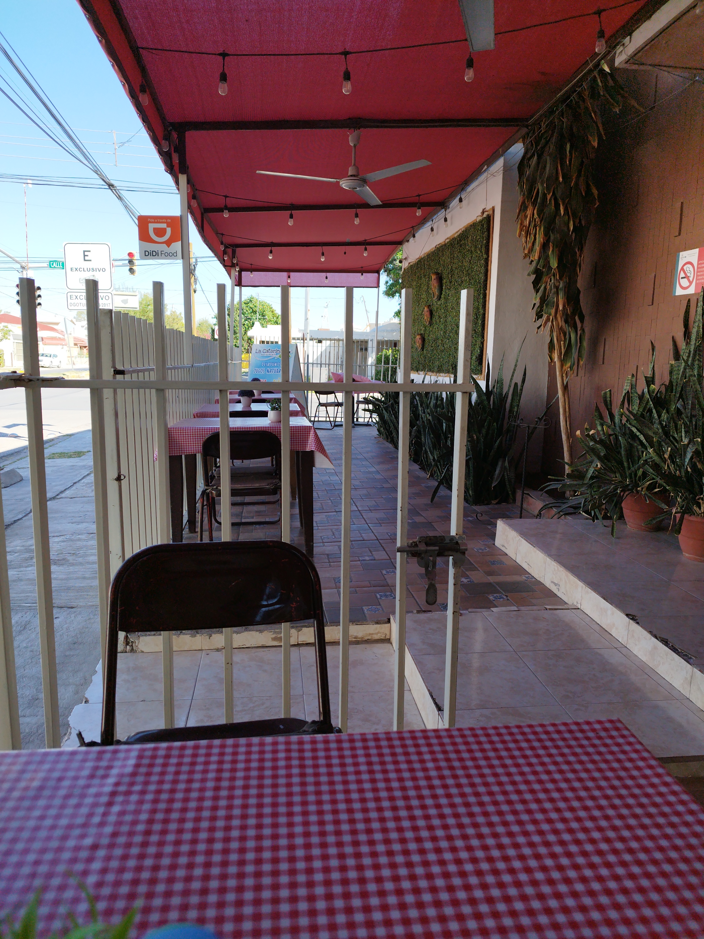 Casa de mi Abuela image 8