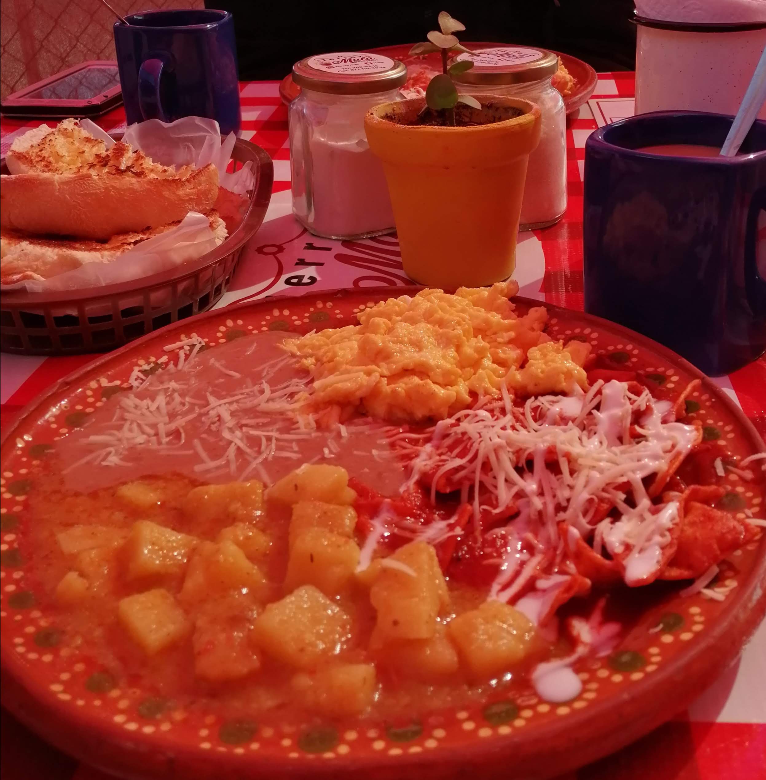 Terraza Malu image 5