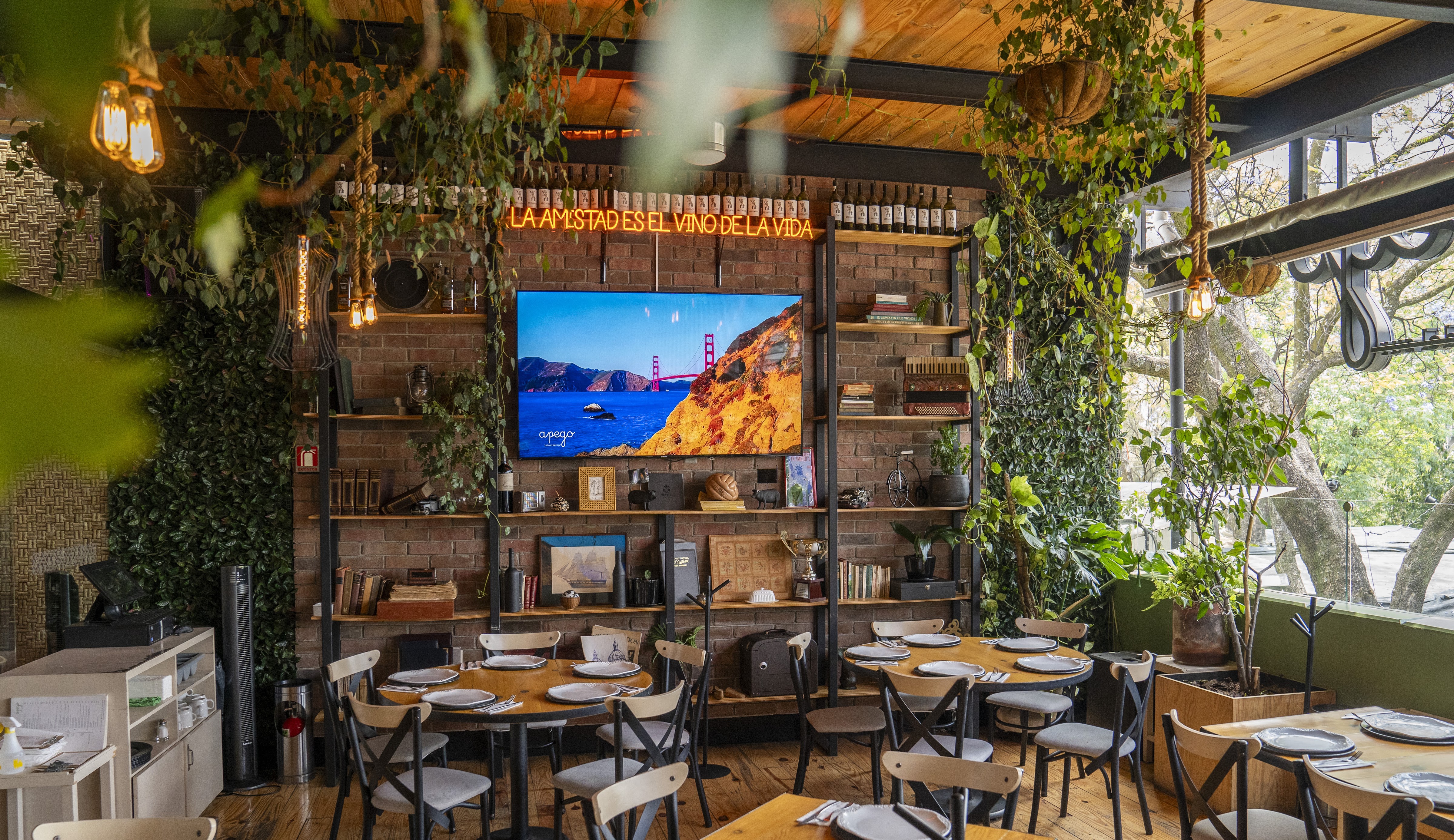 Apego, balcón del sur image 4