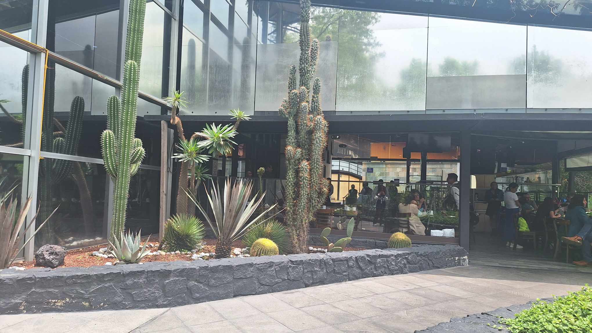 Restaurante Casa Club del Académico image 5