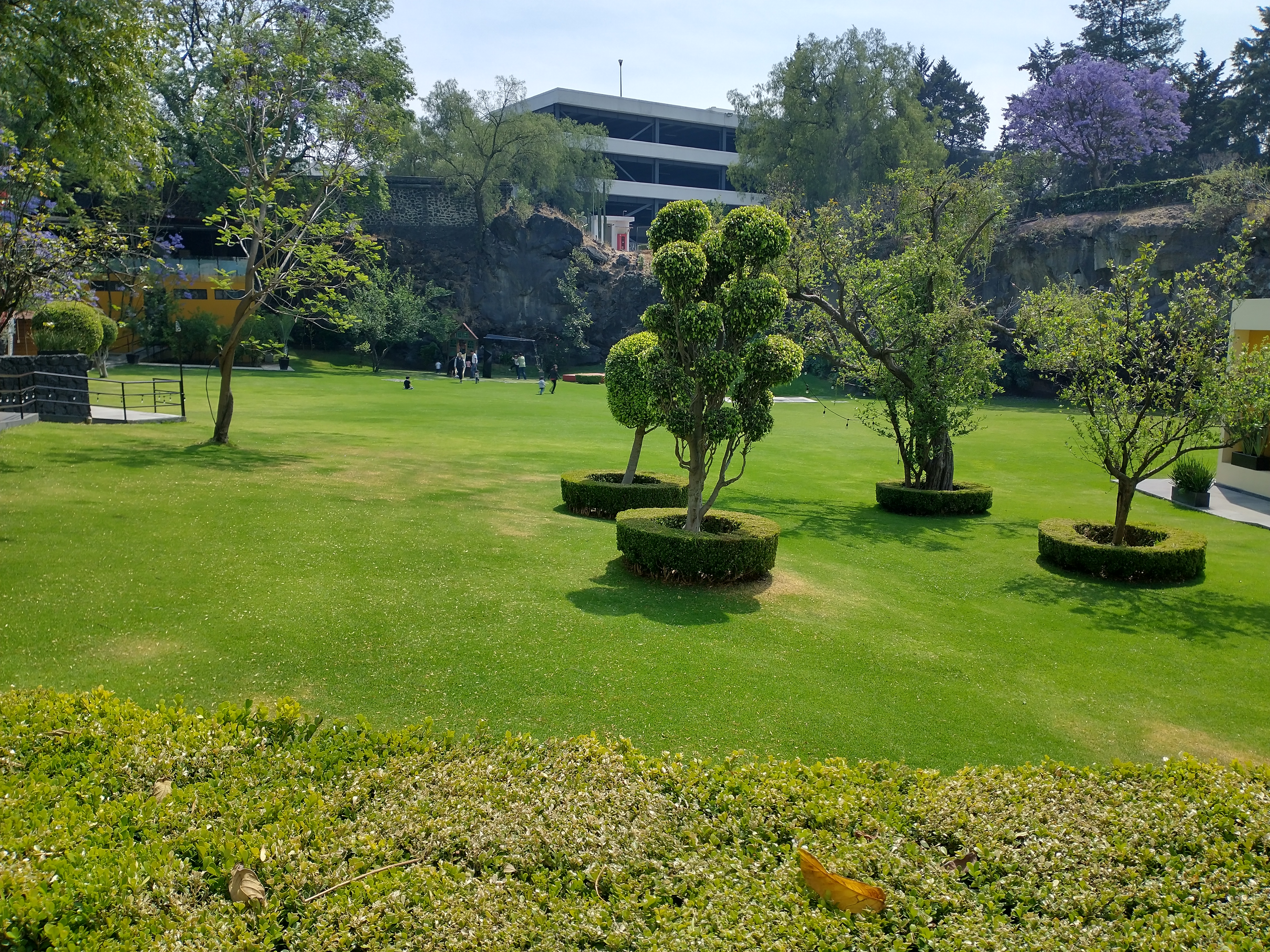 Restaurante Casa Club del Académico image 8