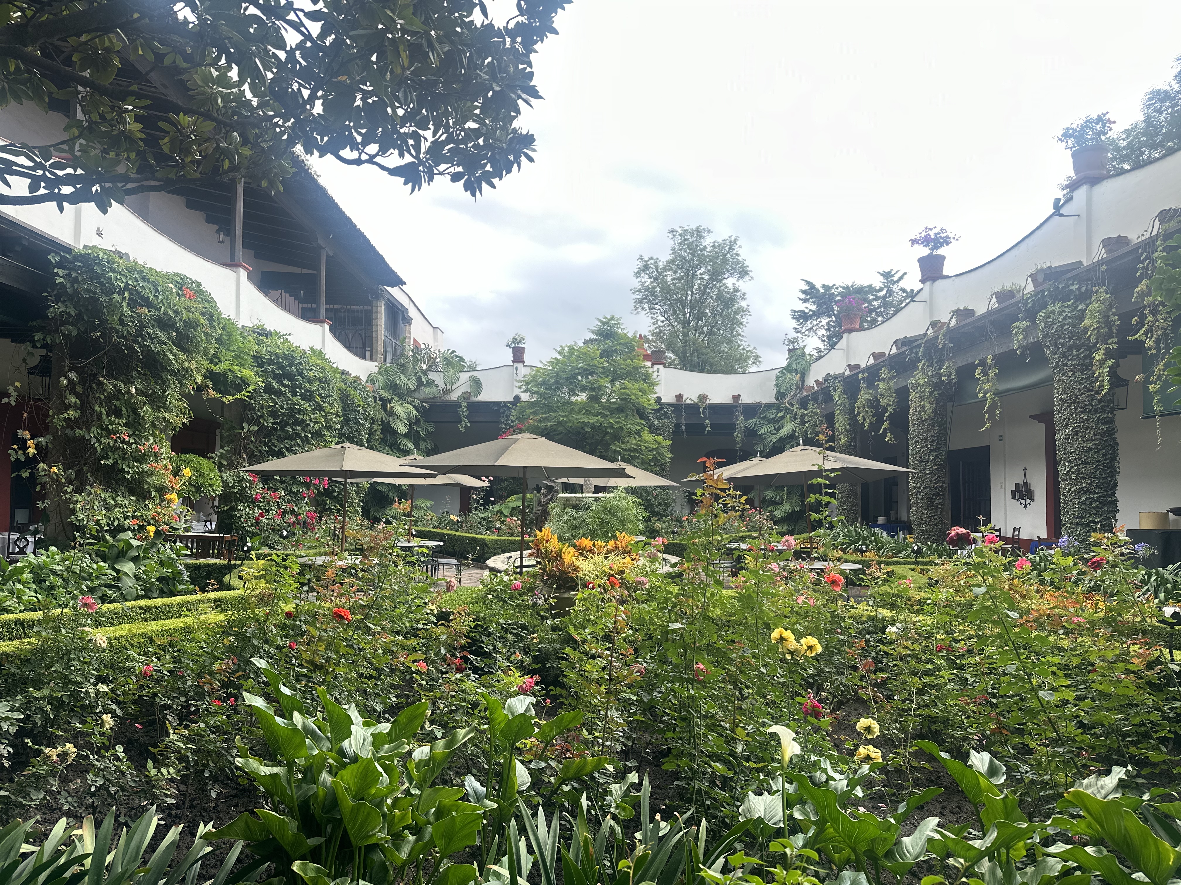 San Ángel Inn image 3