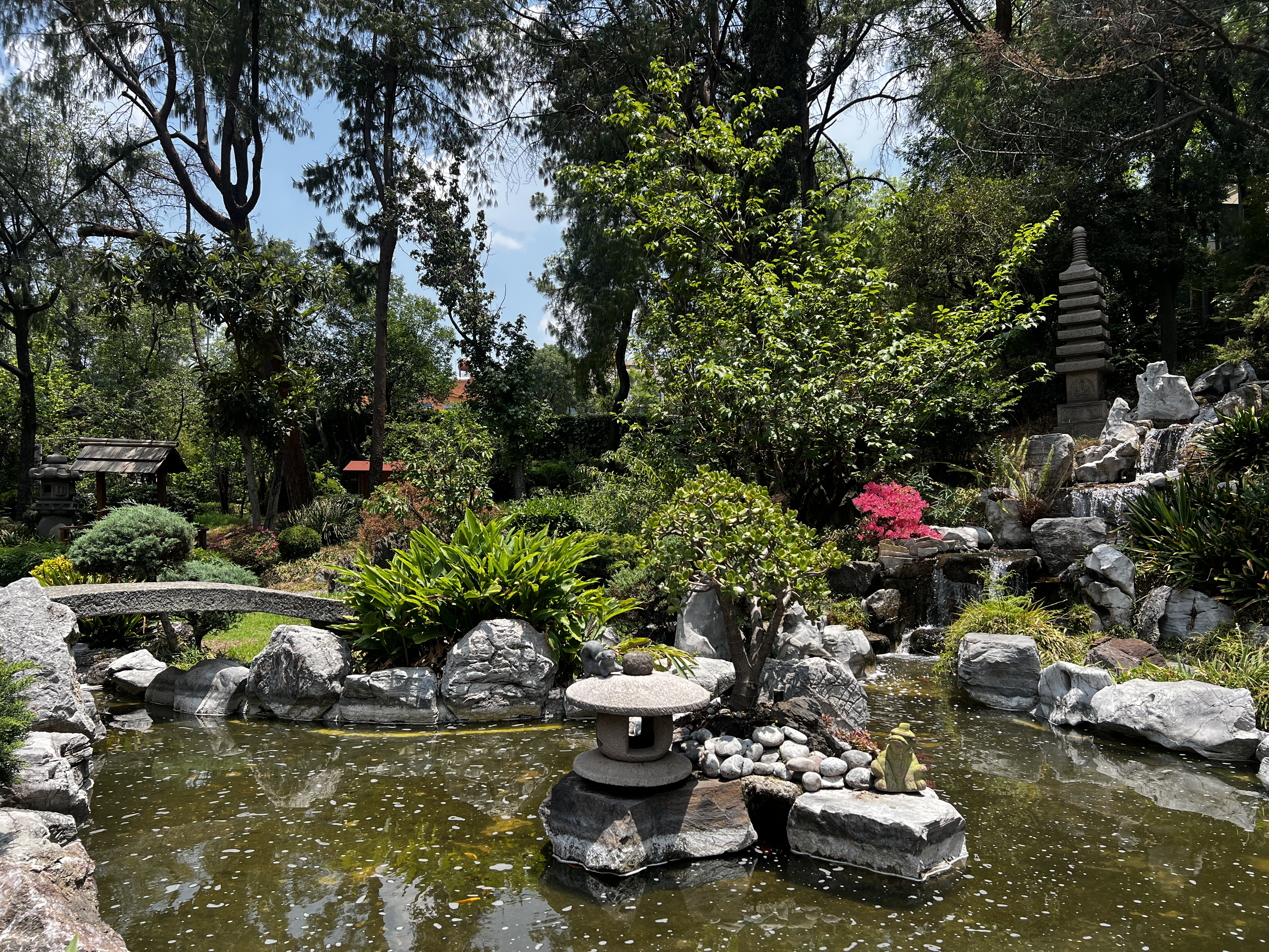 ICHI Restaurant image 5