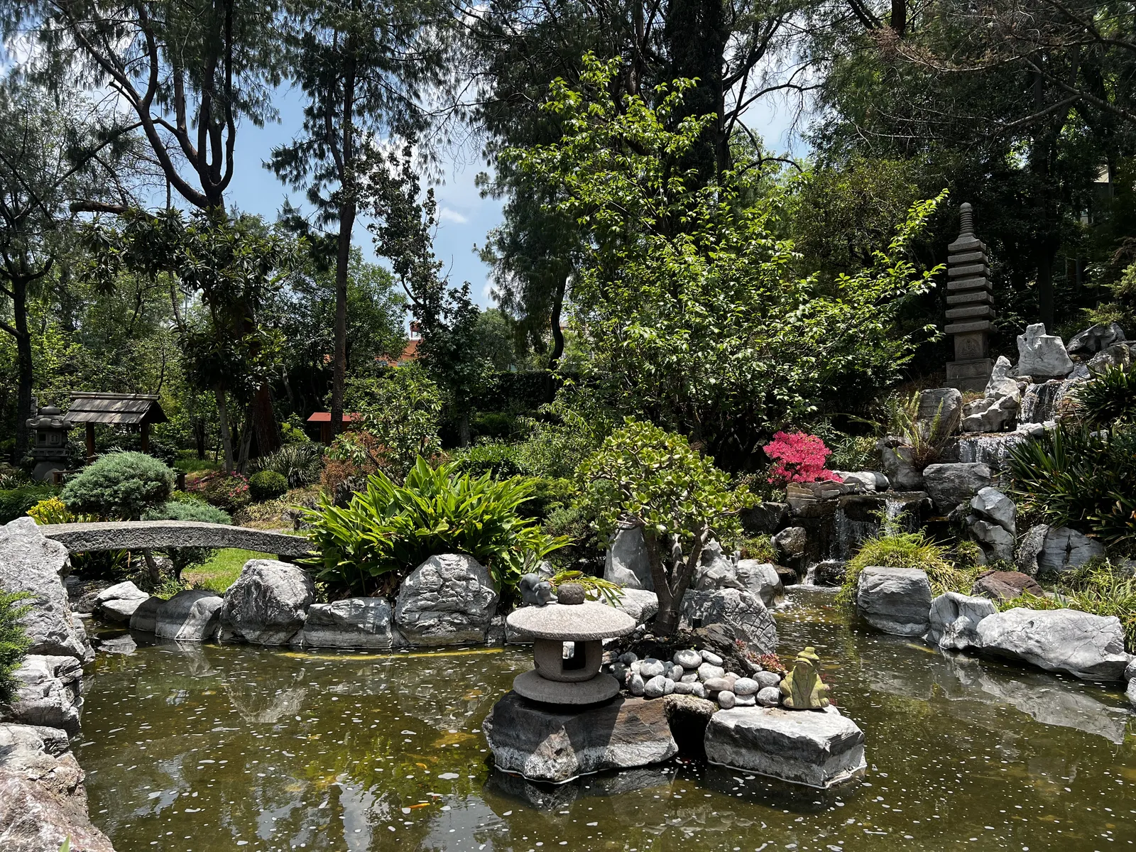 ICHI Restaurant image 5