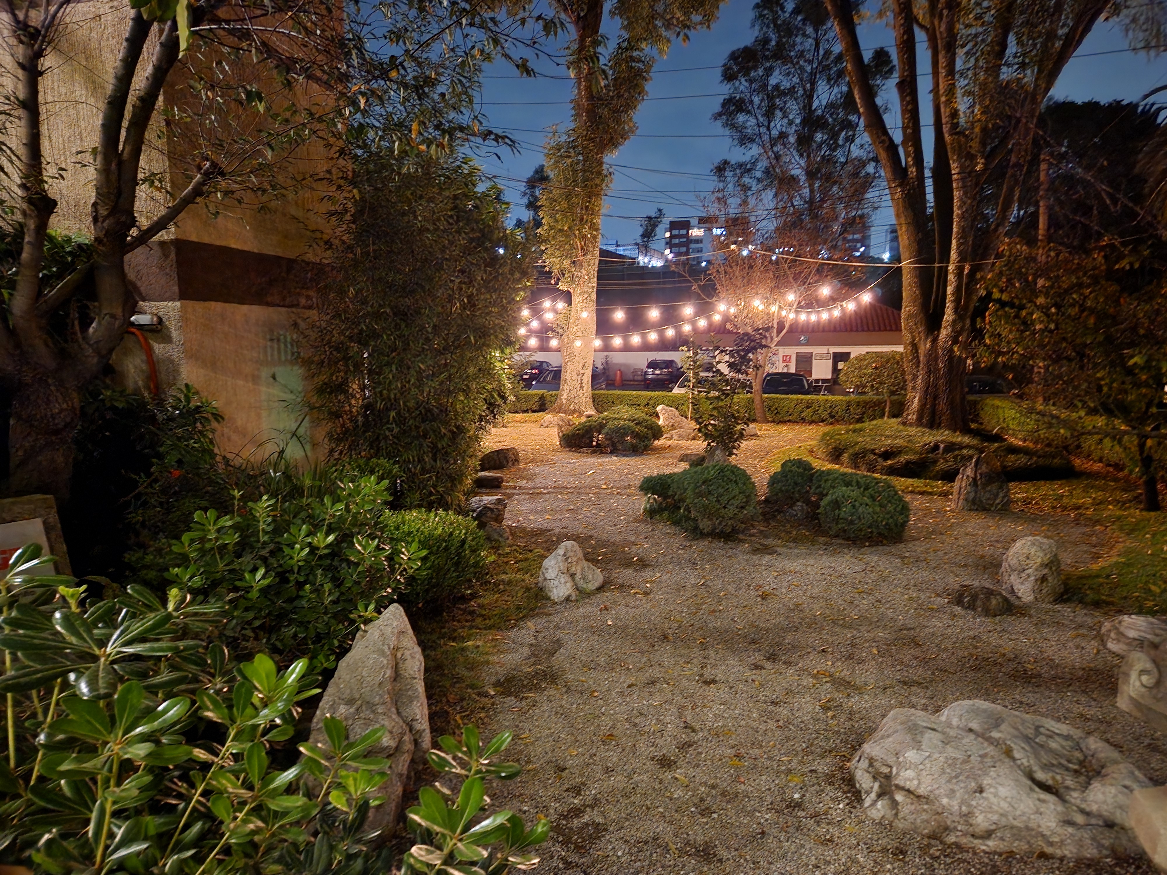 ICHI Restaurant image 8