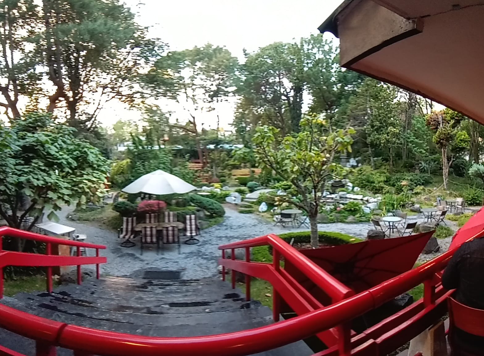 ICHI Restaurant image 9