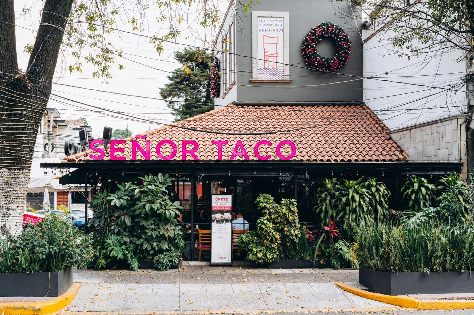 Señor Taco Insurgentes image 1