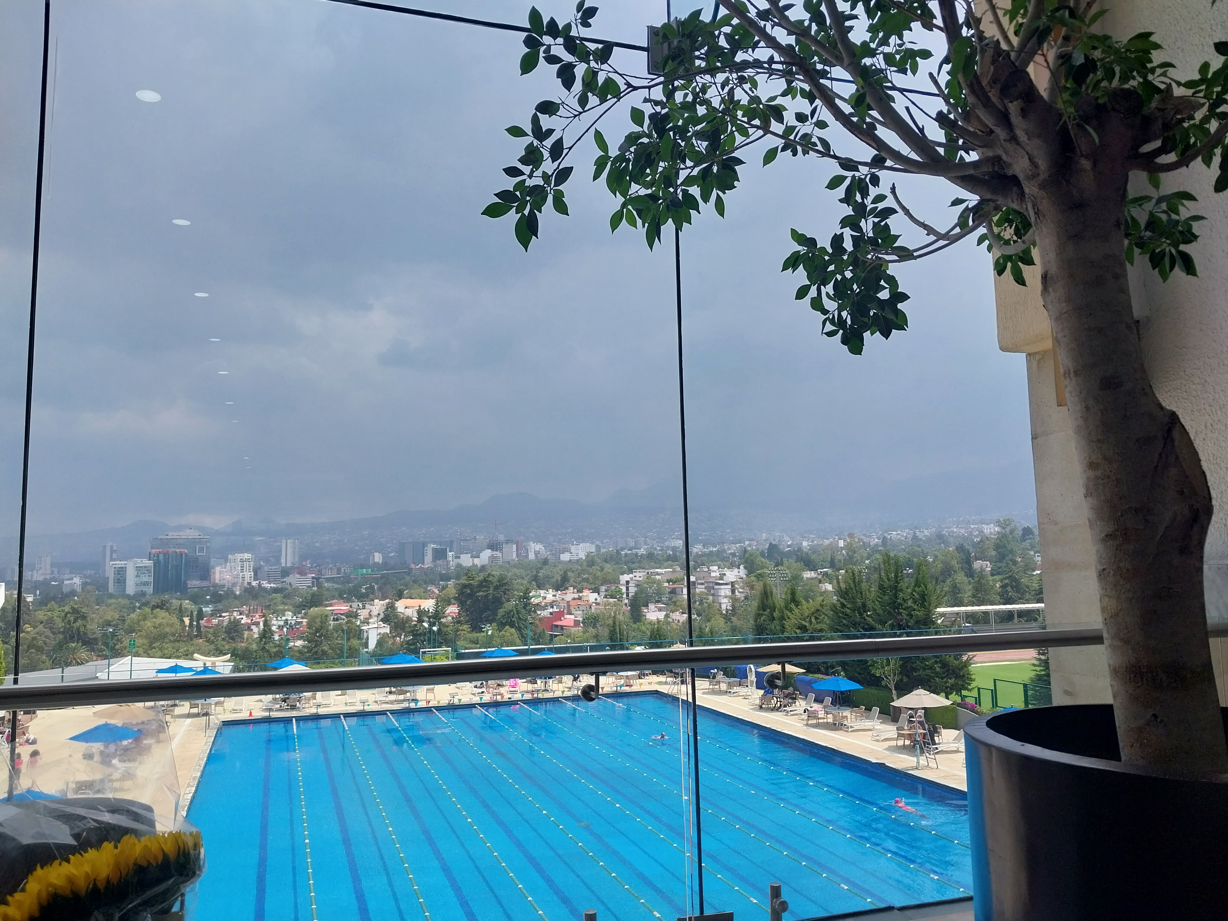 Centro libanes image 3