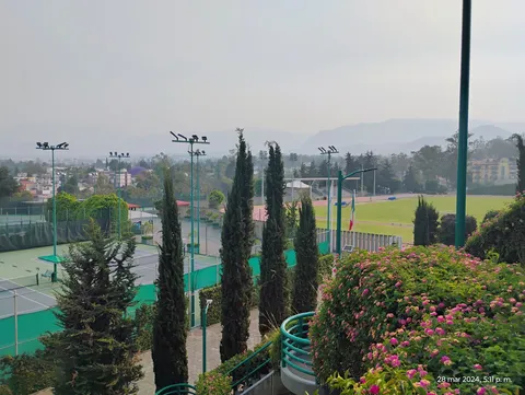 Centro libanes image 4
