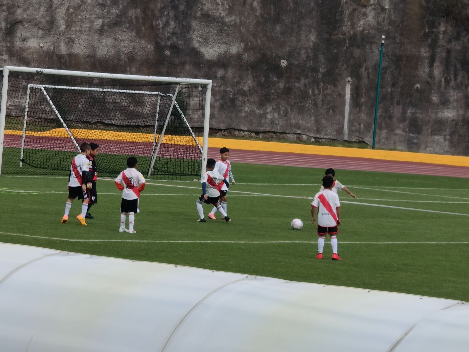 Centro libanes image 6