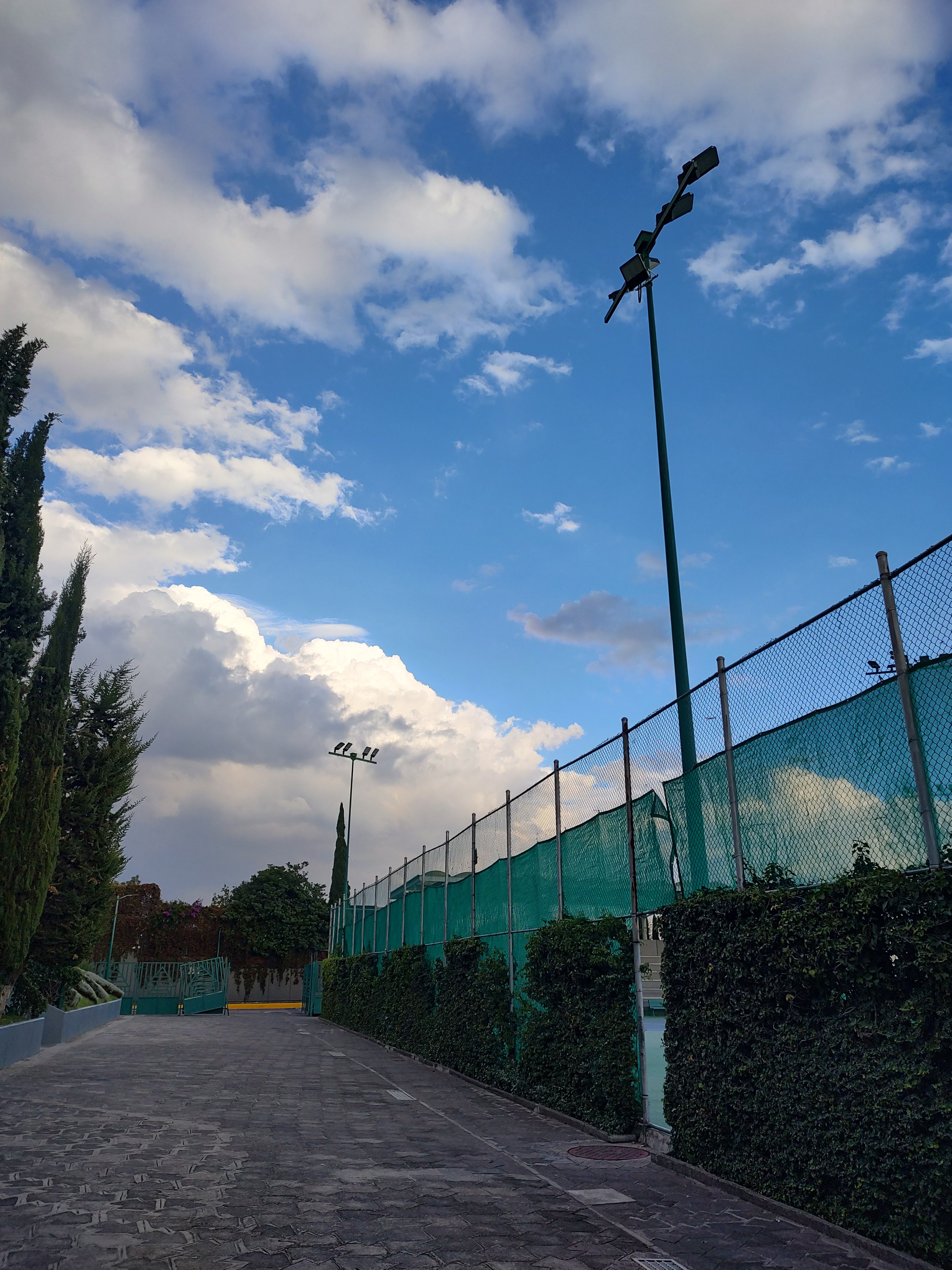 Centro libanes image 9