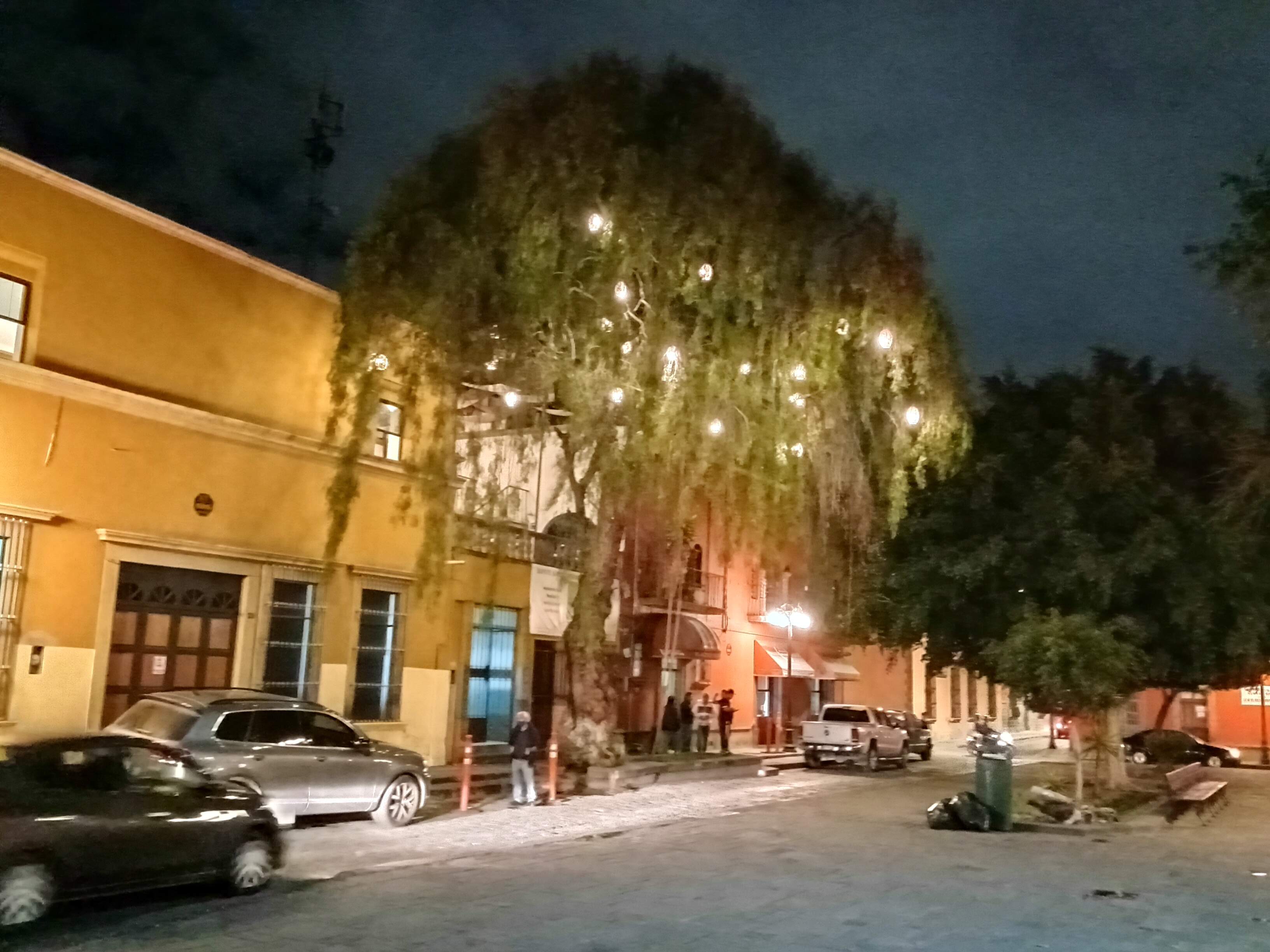 Bar el Antiguo Bocolito image 4