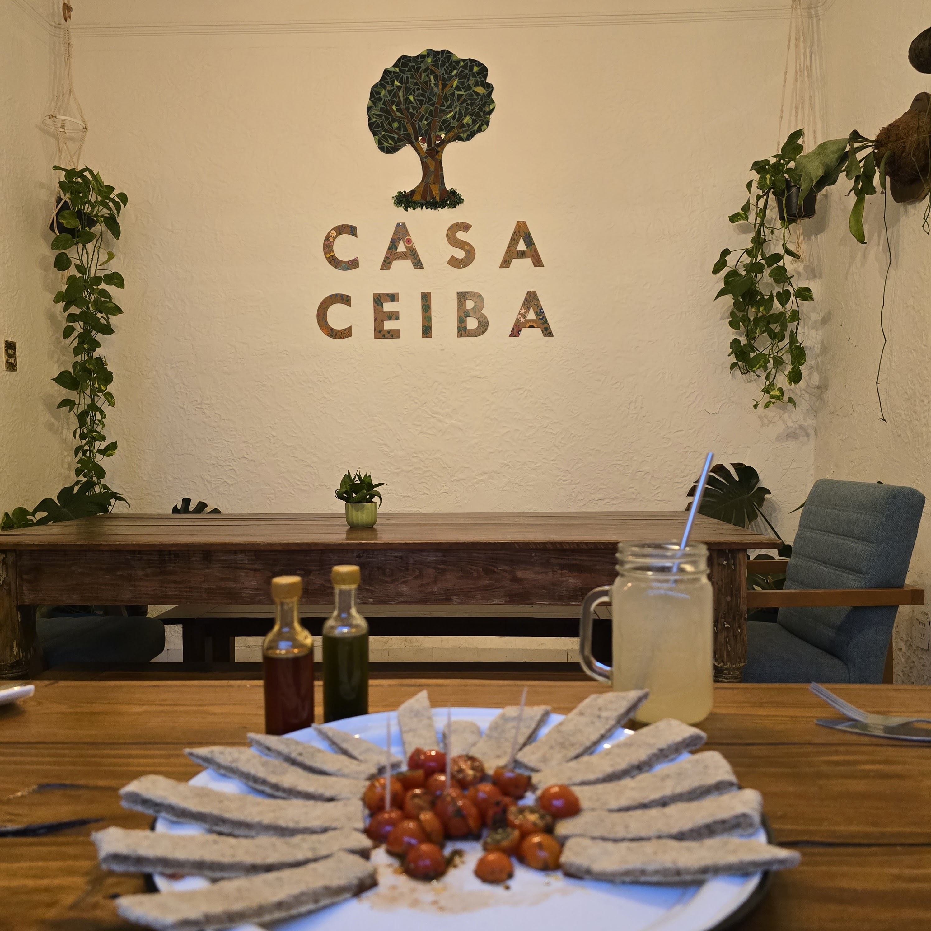 Casa Ceiba San luis image 2
