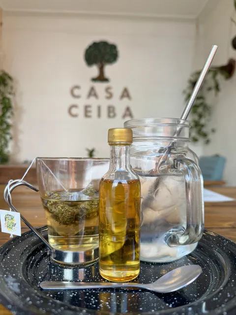 Casa Ceiba San luis image 6