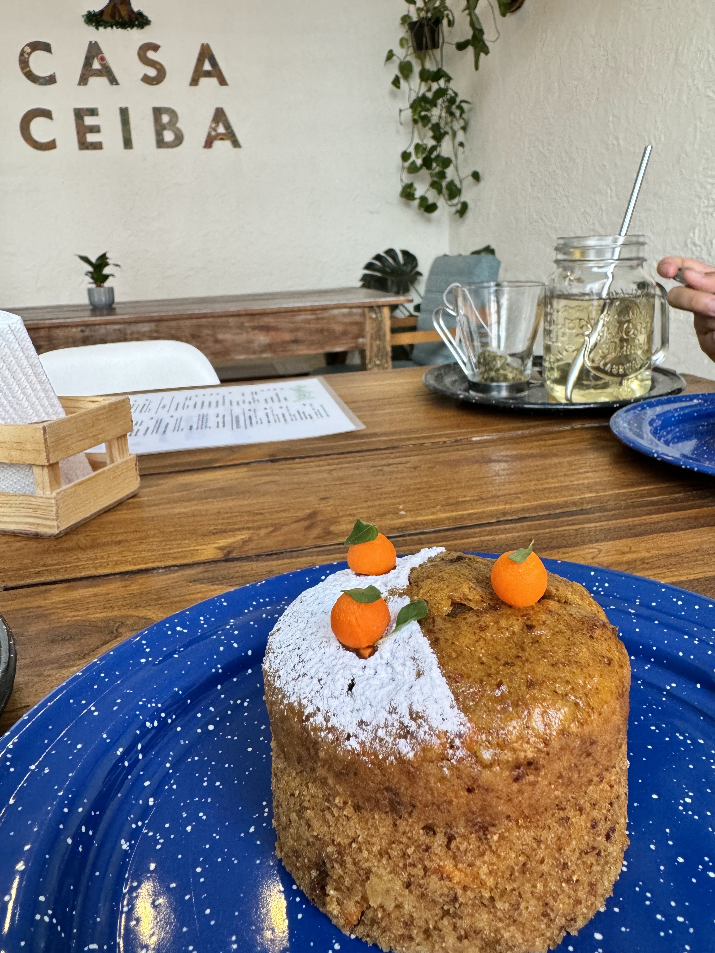 Casa Ceiba San luis image 7