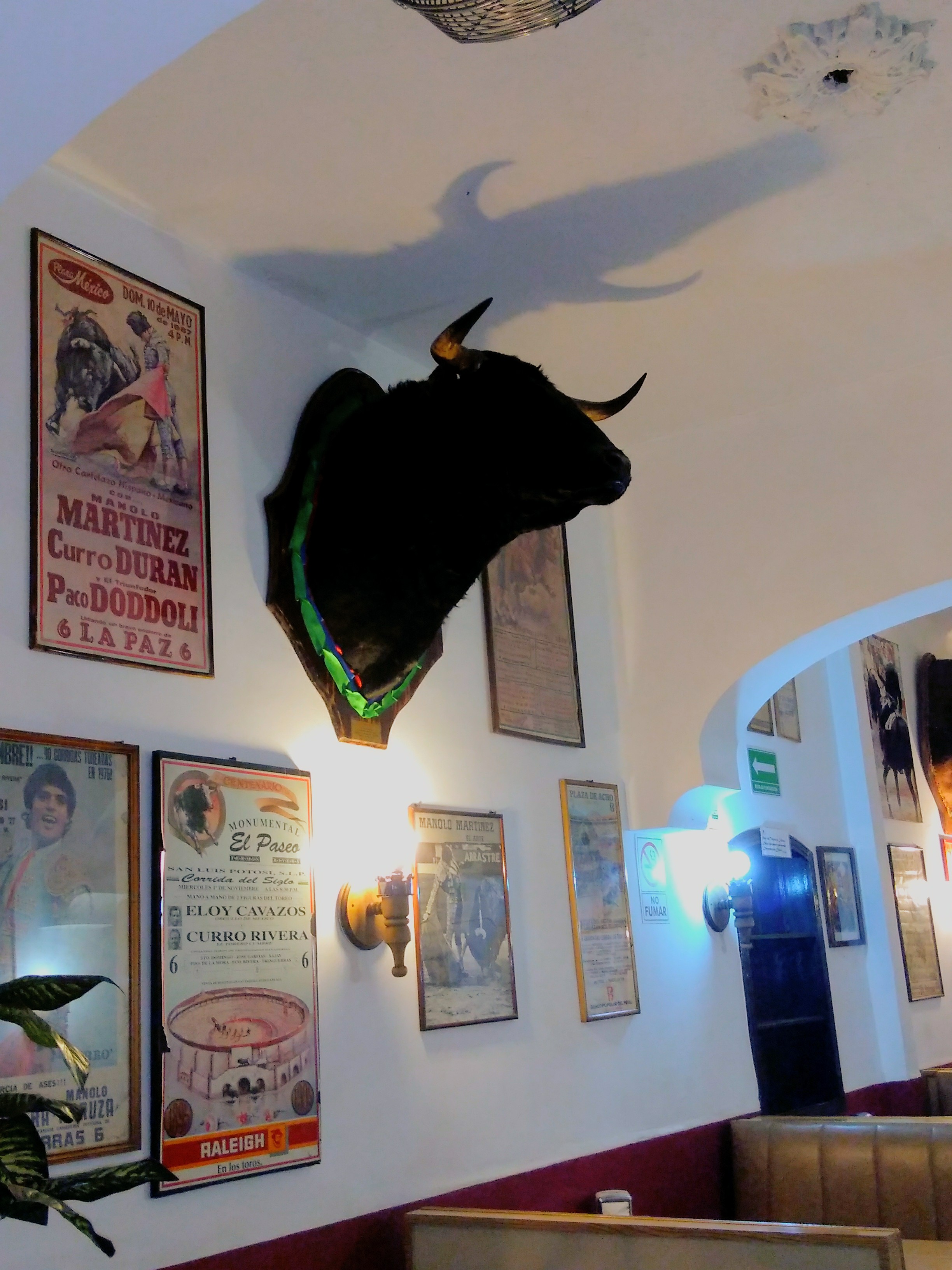 El Novillero Tradicional image 9