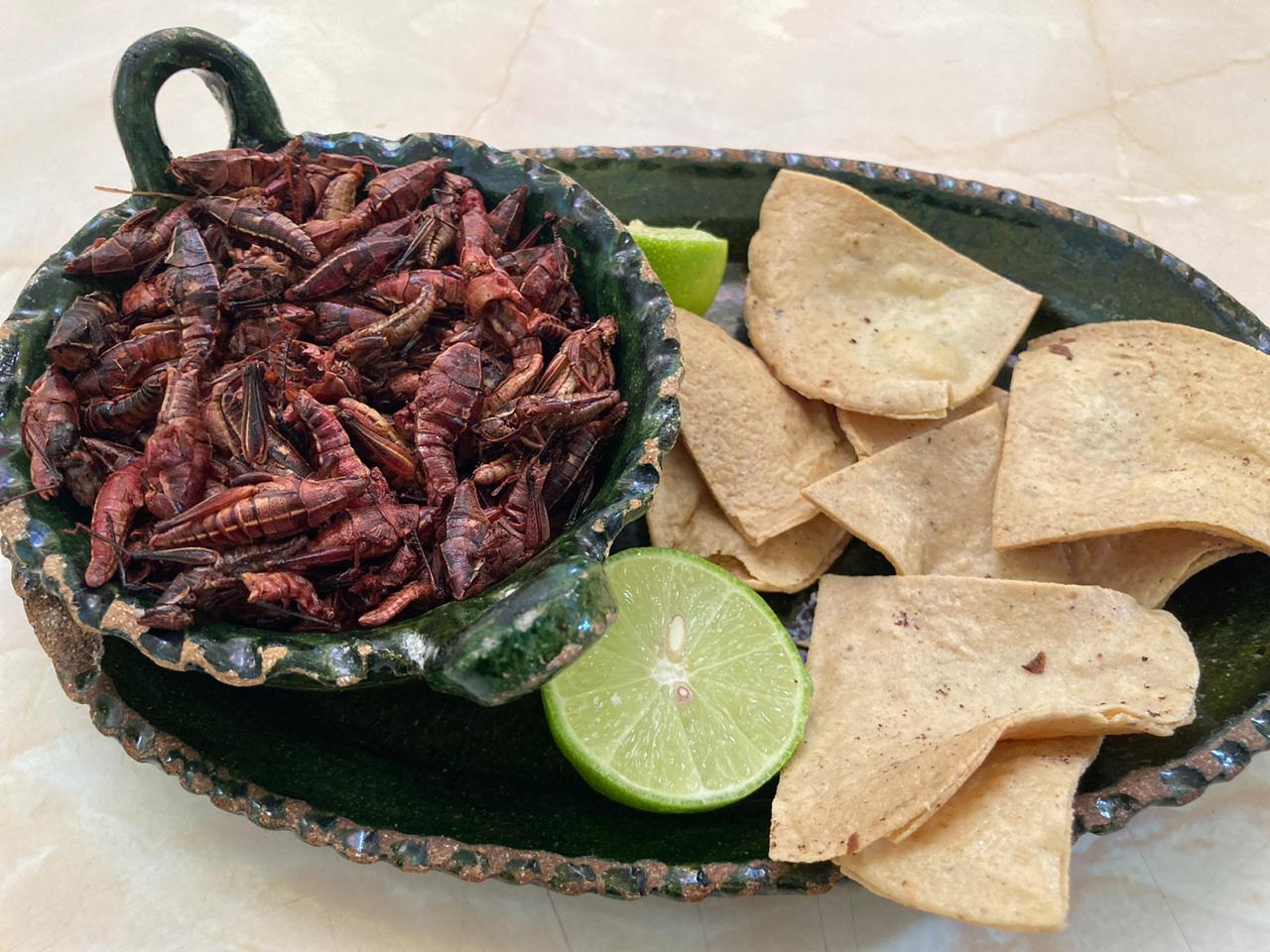 El Sabor De Mi Tierra image 6