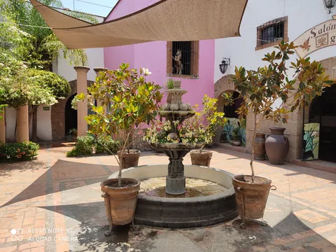 La Mestiza Yucateca image 7