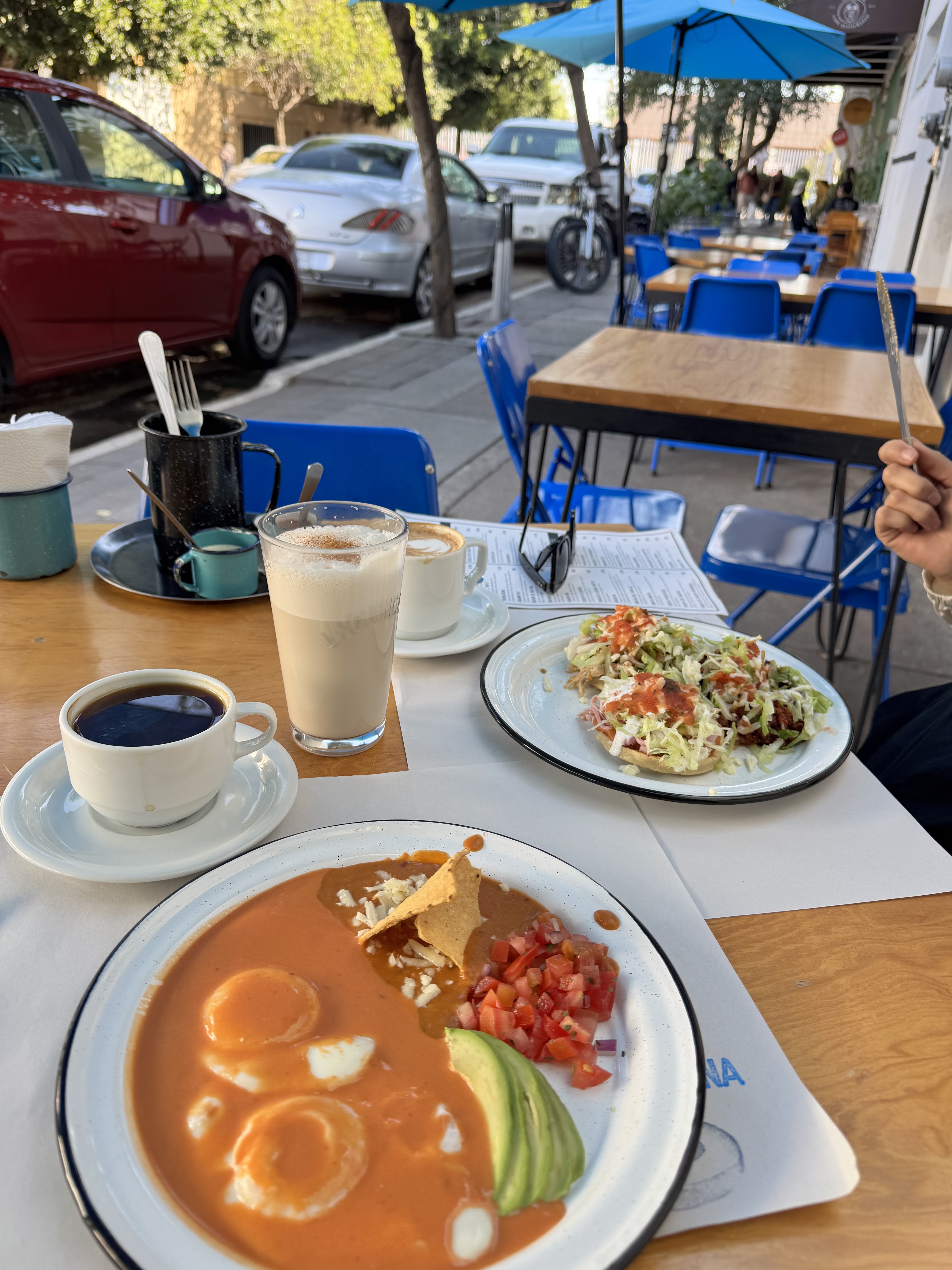 La Quincena Botanería image 5