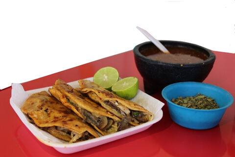 Menudos Gaby image 5