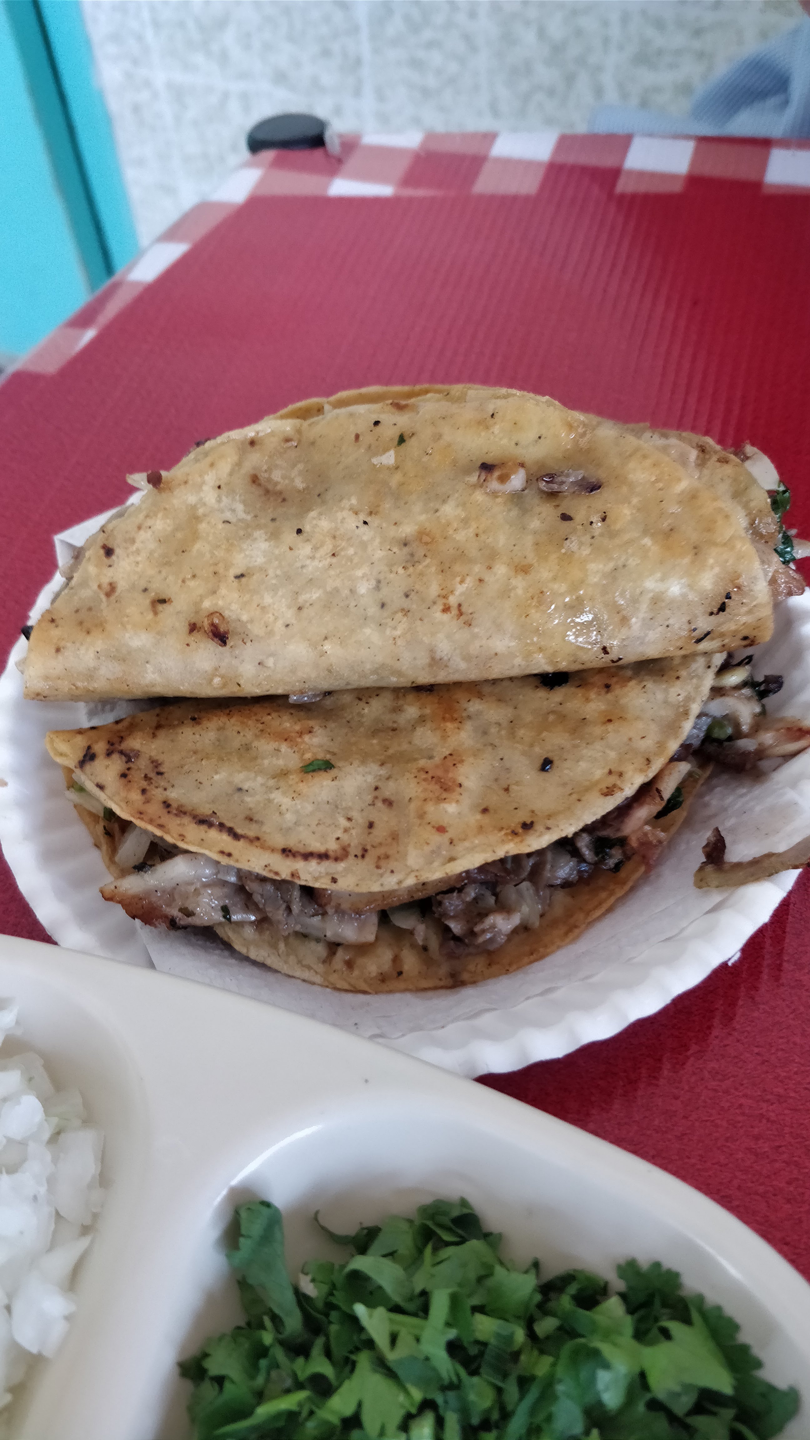 Menudos Gaby image 10