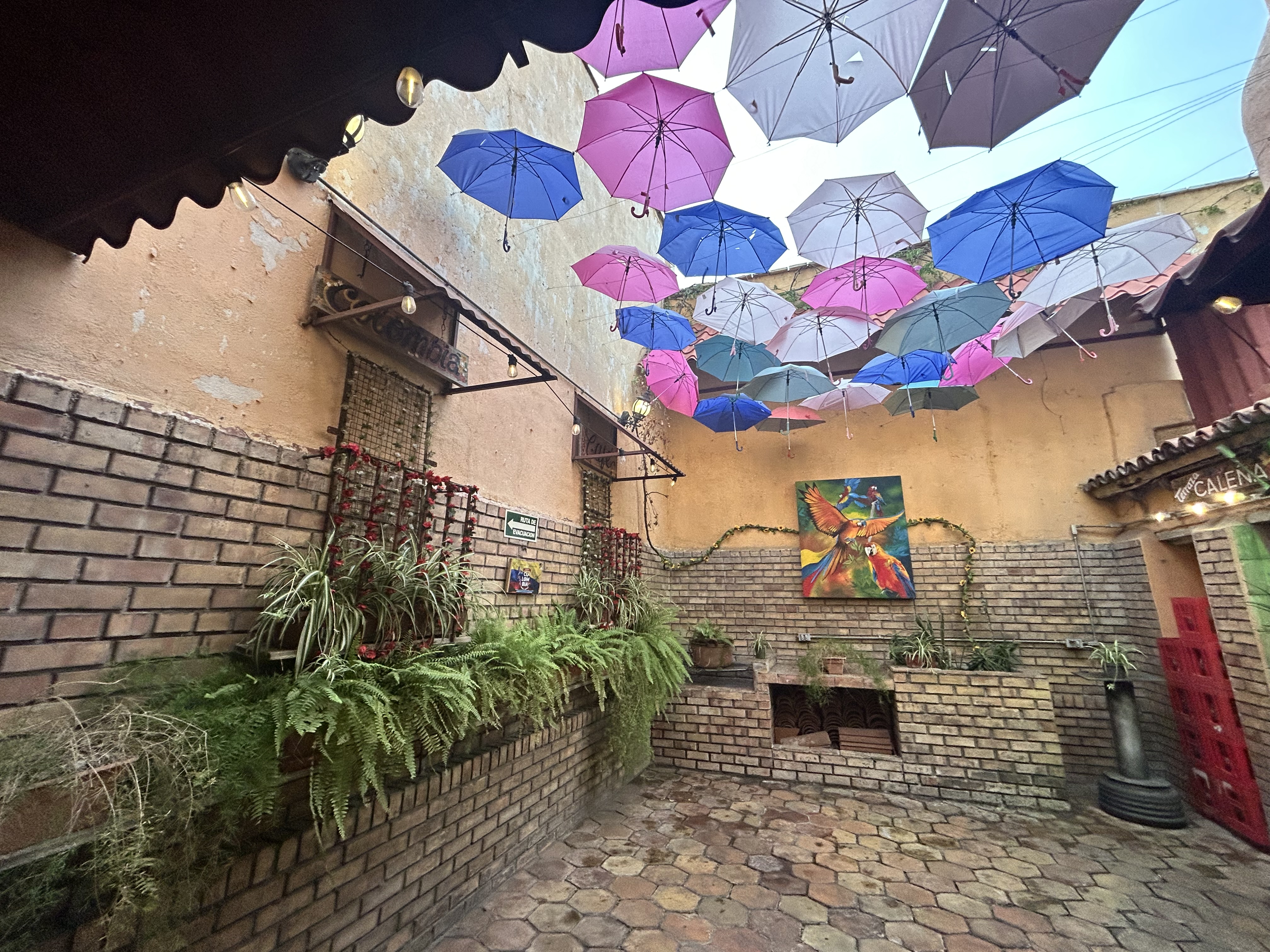 Encanto Colombia image 4