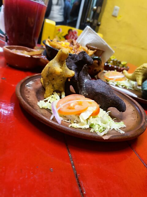 Dinoquesadillas image 3