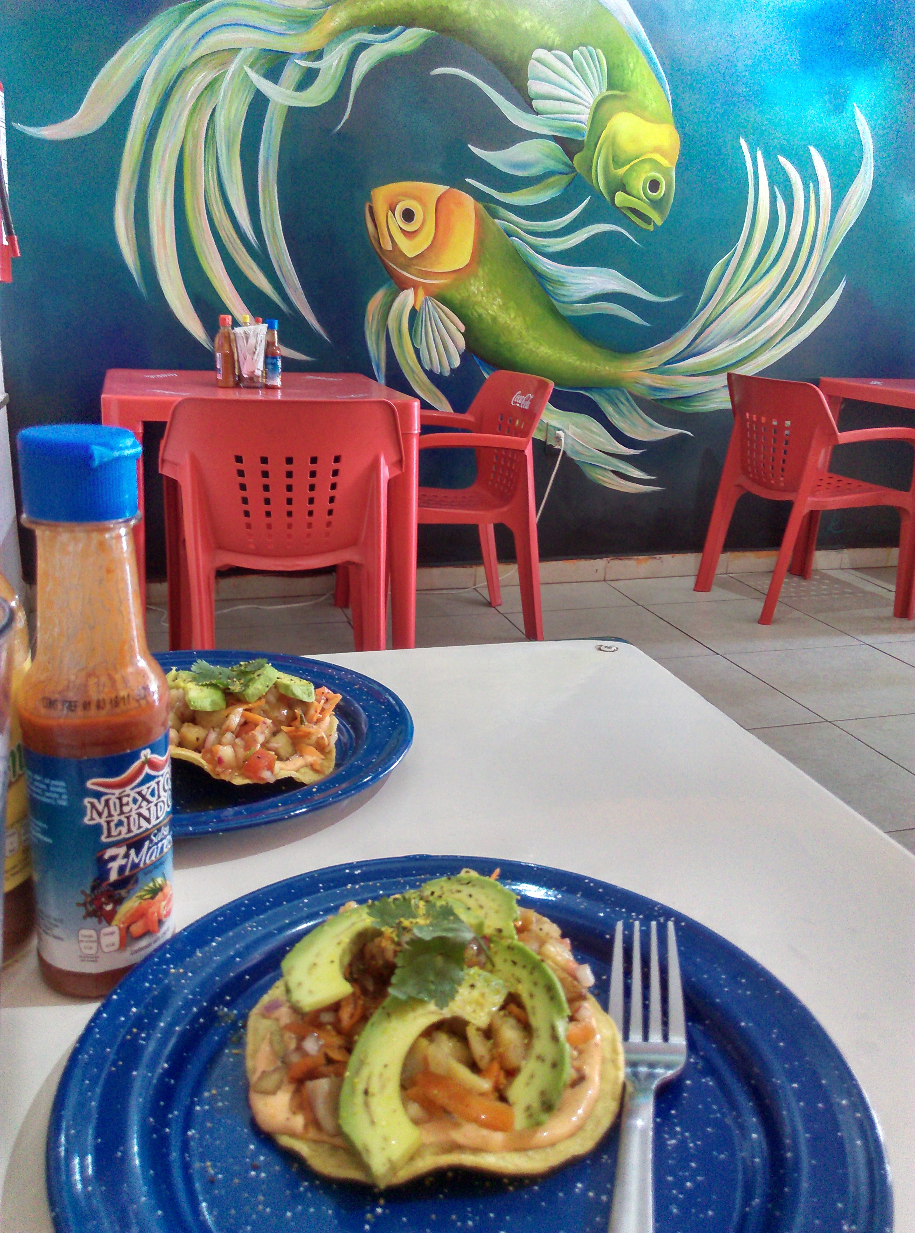 Puerto Victoria image 10