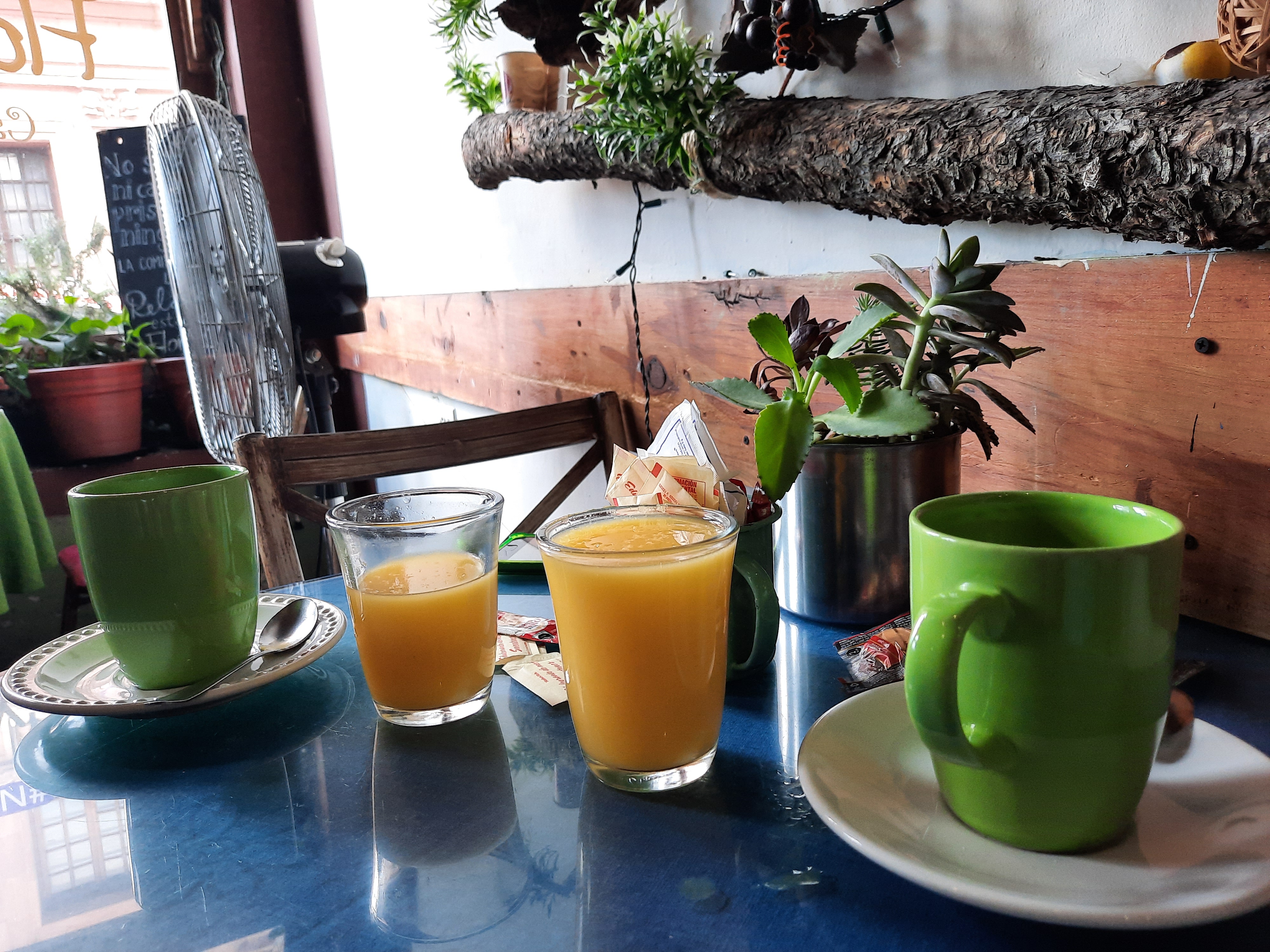 Flor y Canela image 2