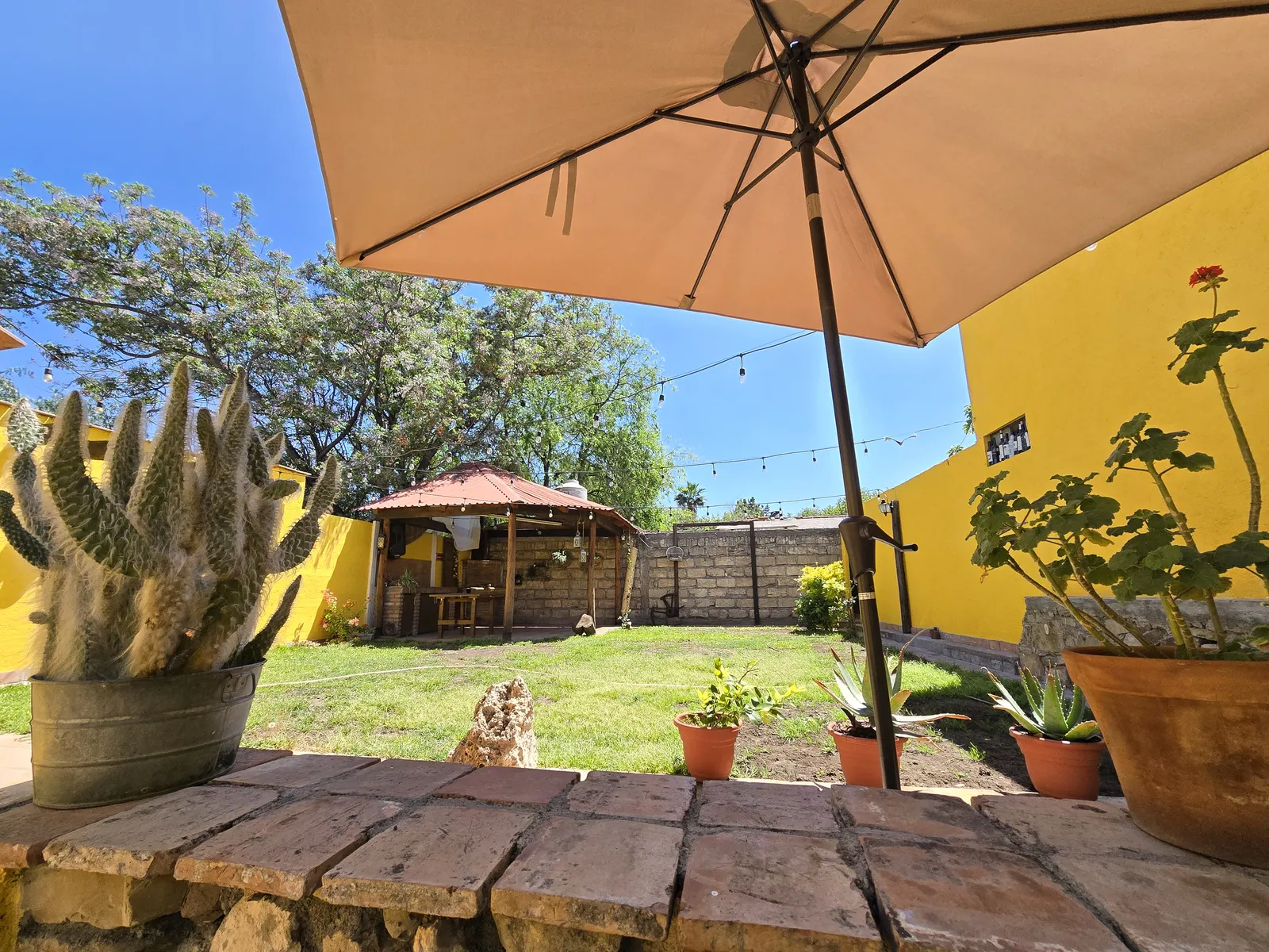 Casa Vieja sabor y leyenda image 5