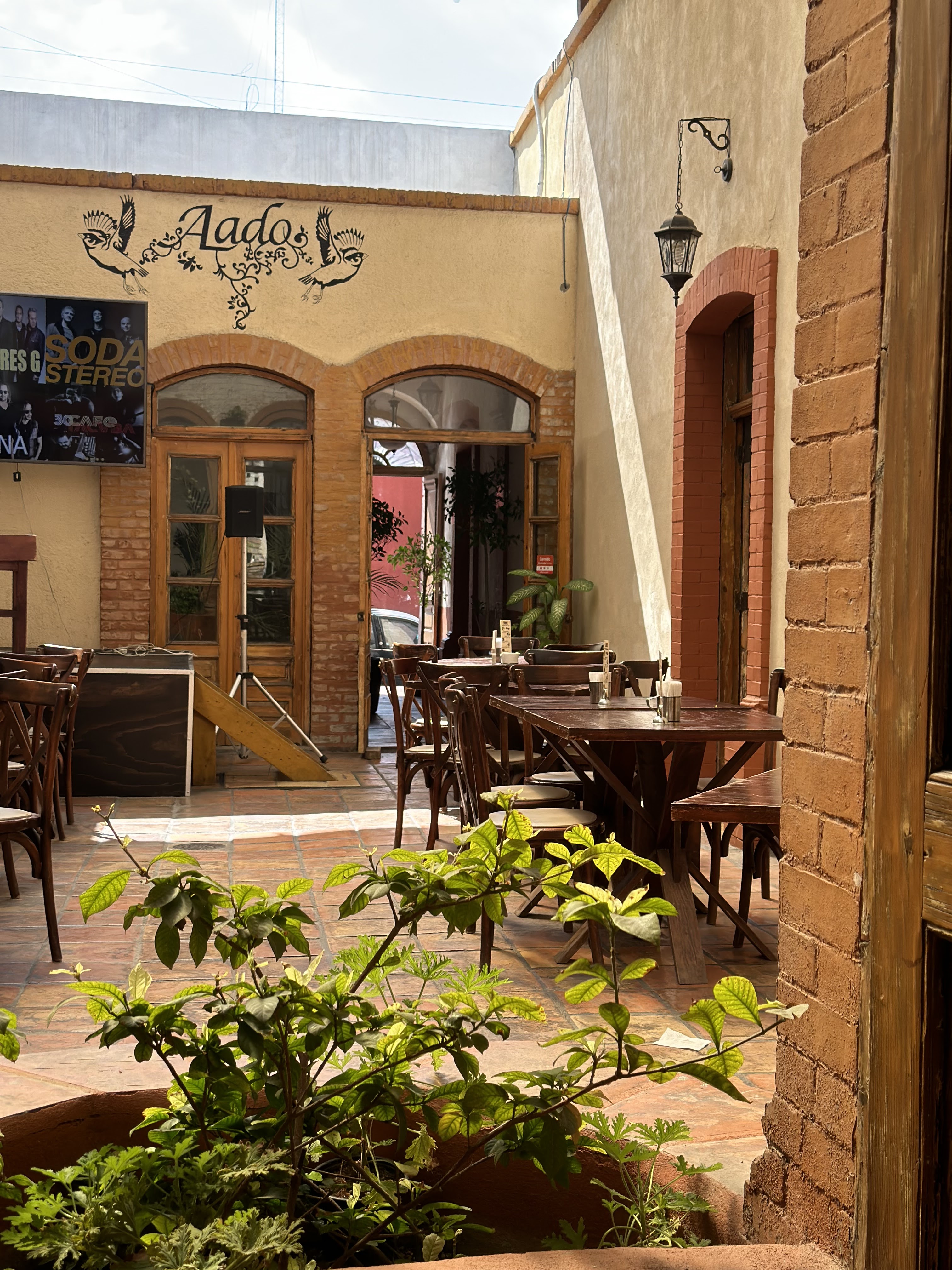 Alado Cocina & Cantina image 1