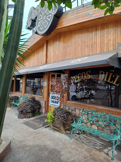 Pecos Bill image 4
