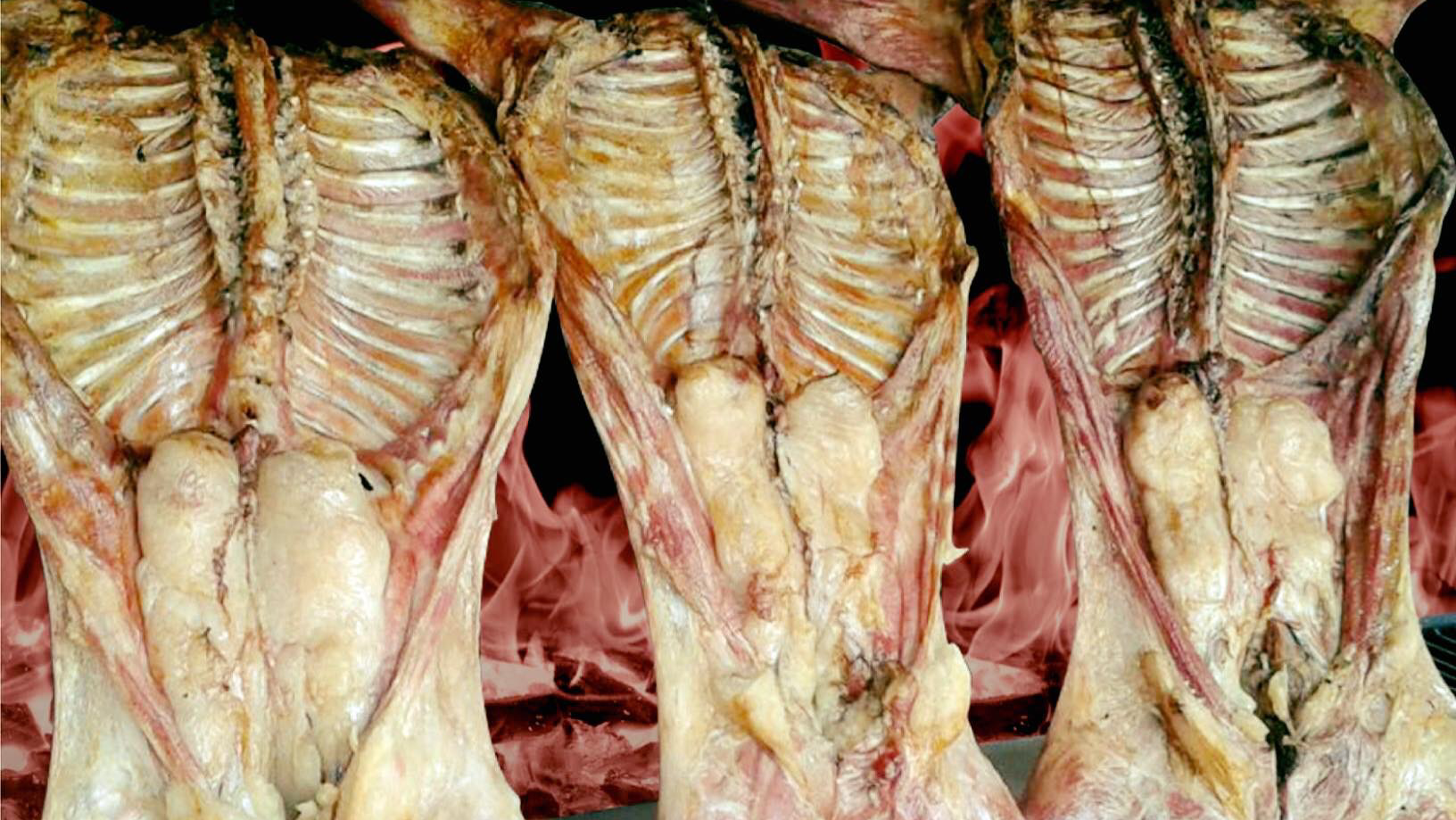 Restaurant El Cabrito Regional image 2