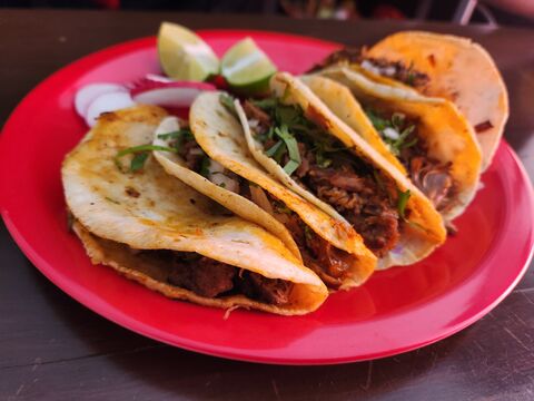 La taqueria YBM image 4