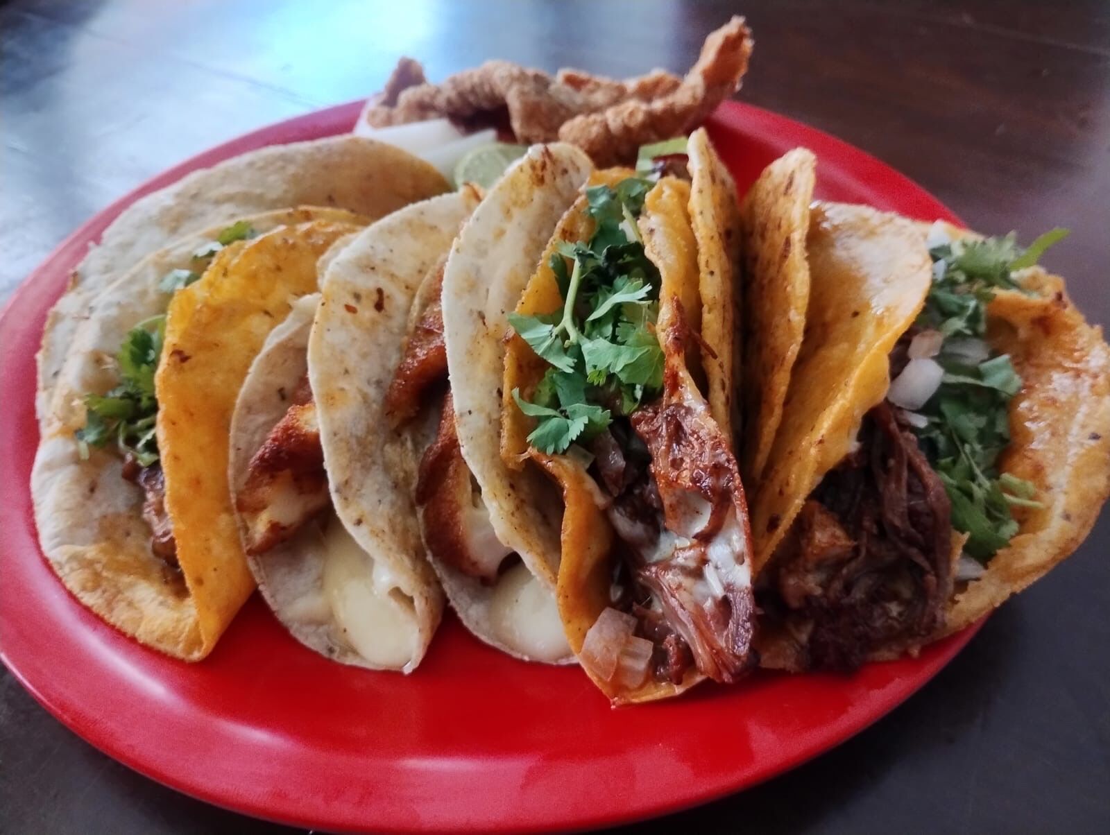 La taqueria YBM image 5