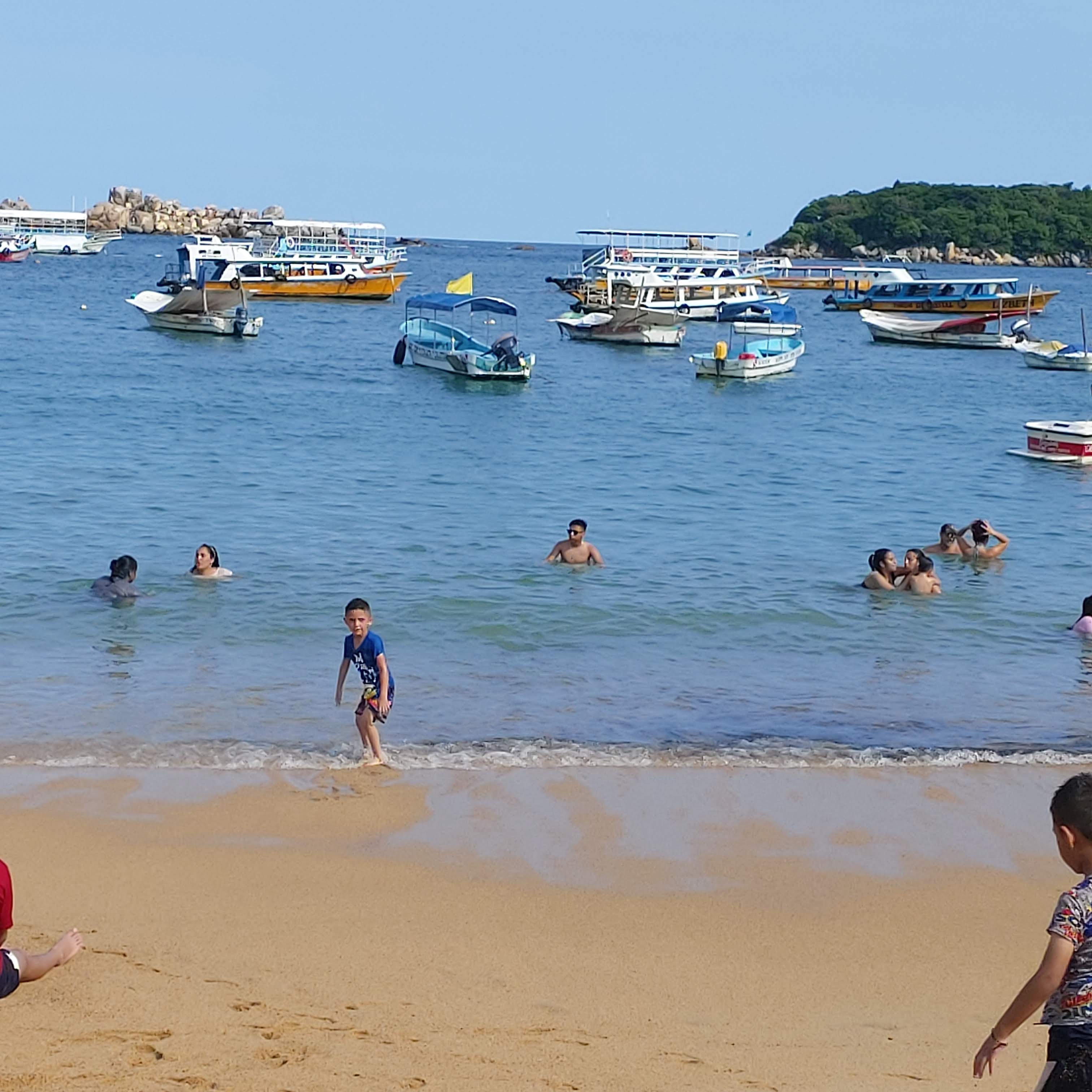 Restaurante Los Cocos image 3