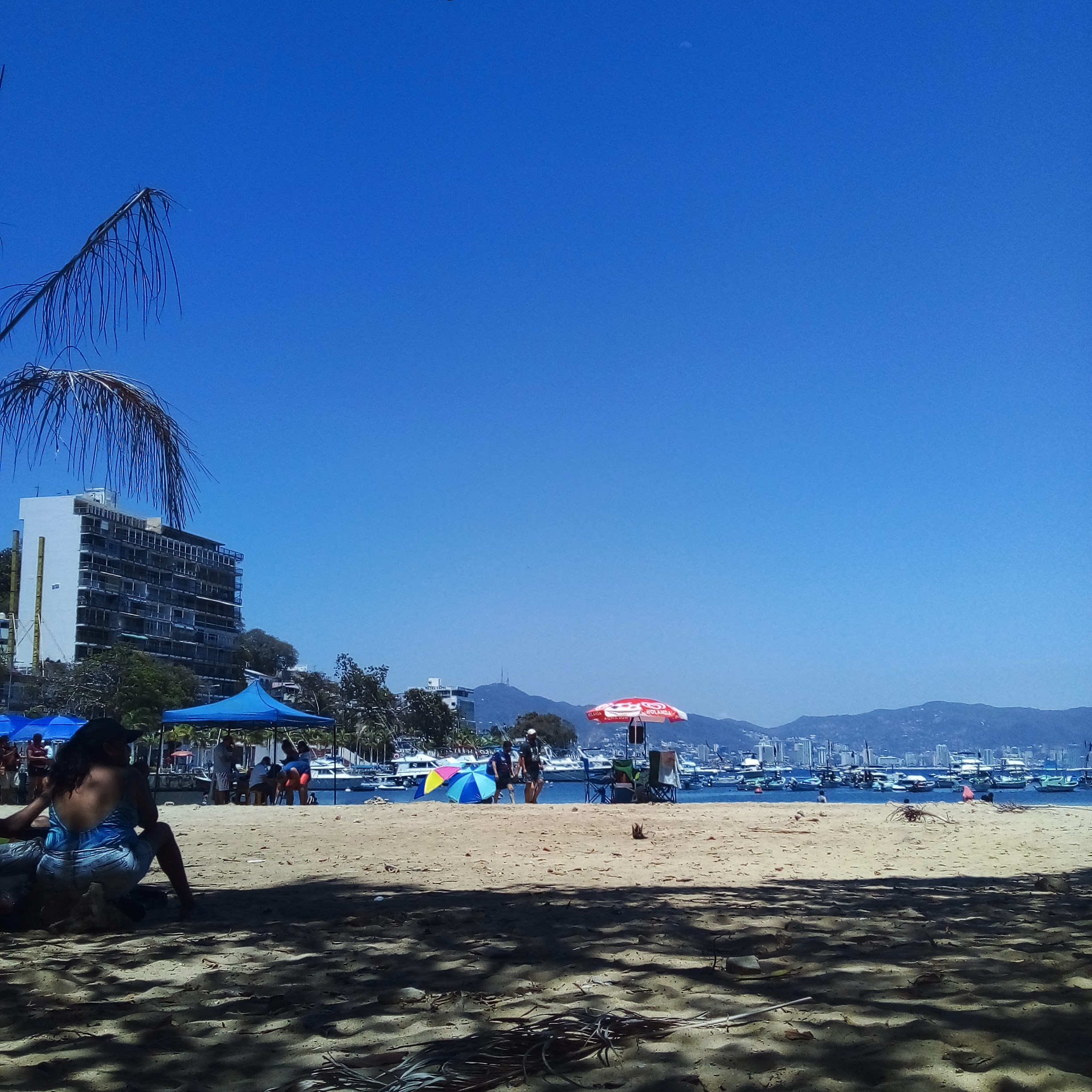 Restaurante Los Cocos image 5