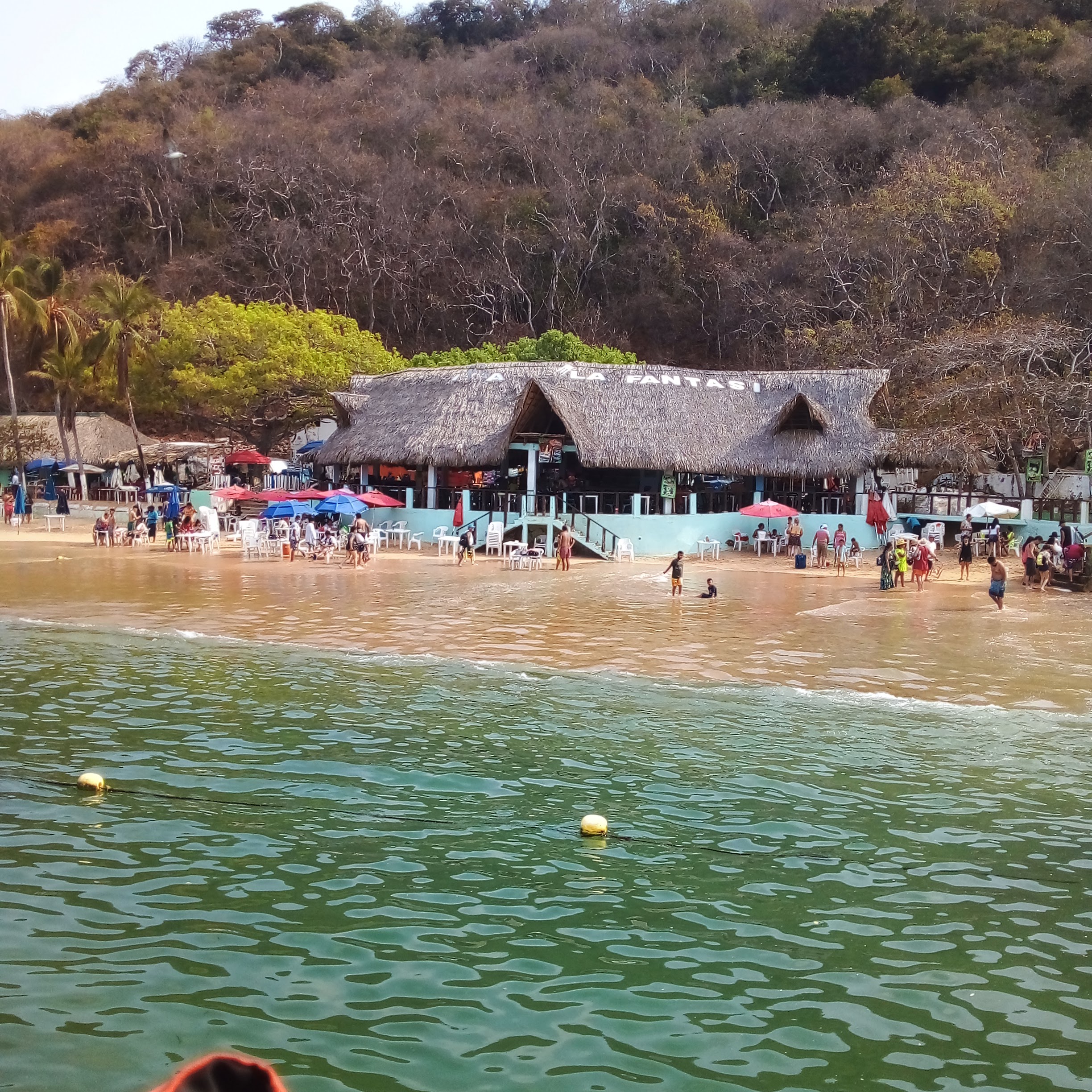 Restaurante Los Cocos image 6