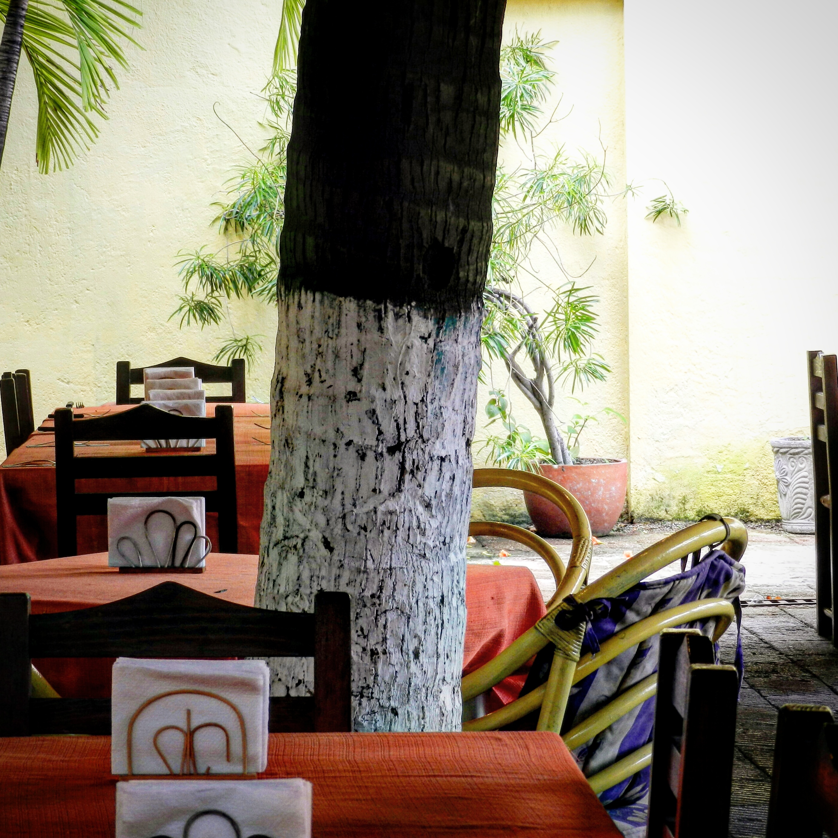 Restaurante Rosmar image 1