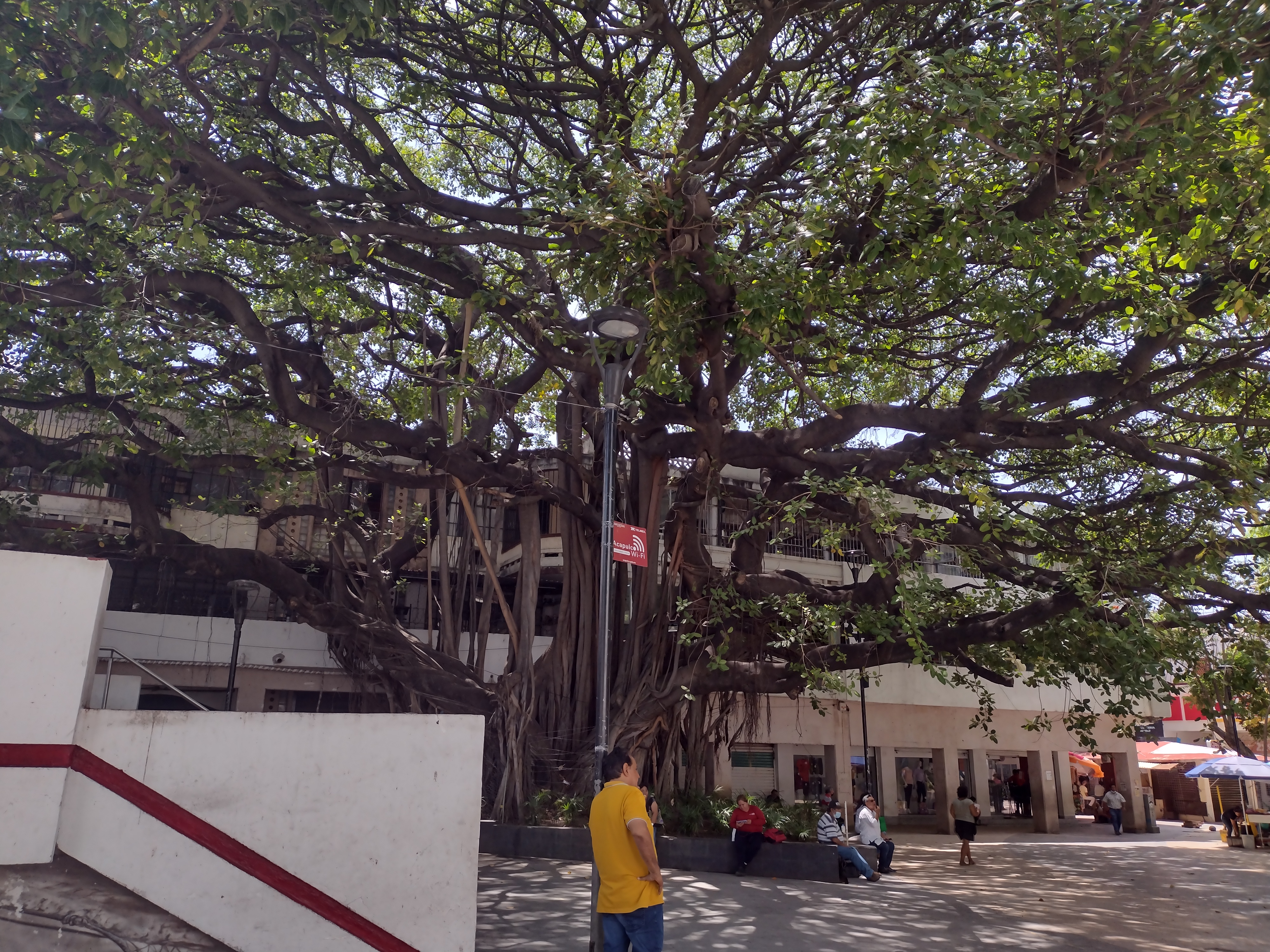 Domino's Pizza Zocalo image 5