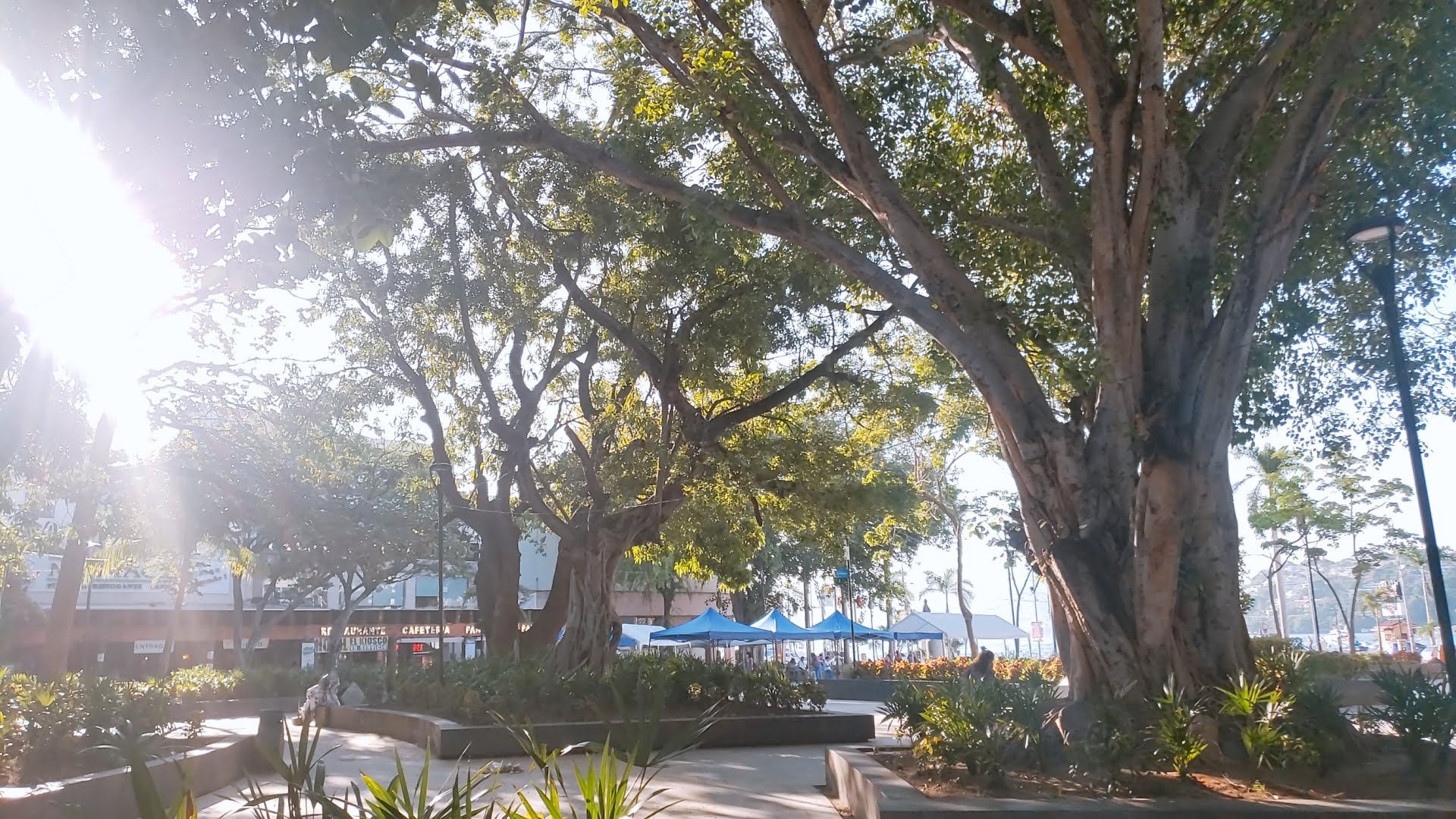 Domino's Pizza Zocalo image 10