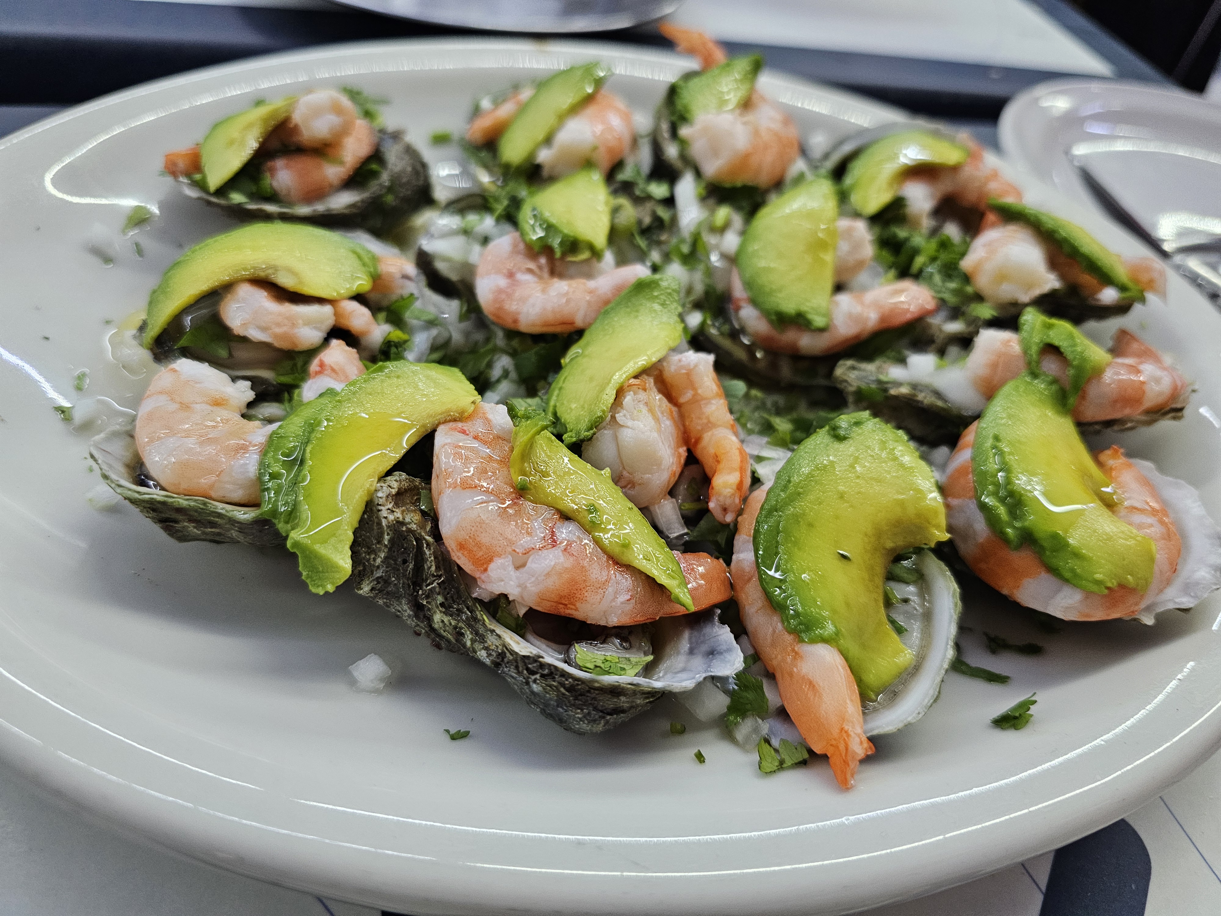 Solo Veracruz es Bello image 6