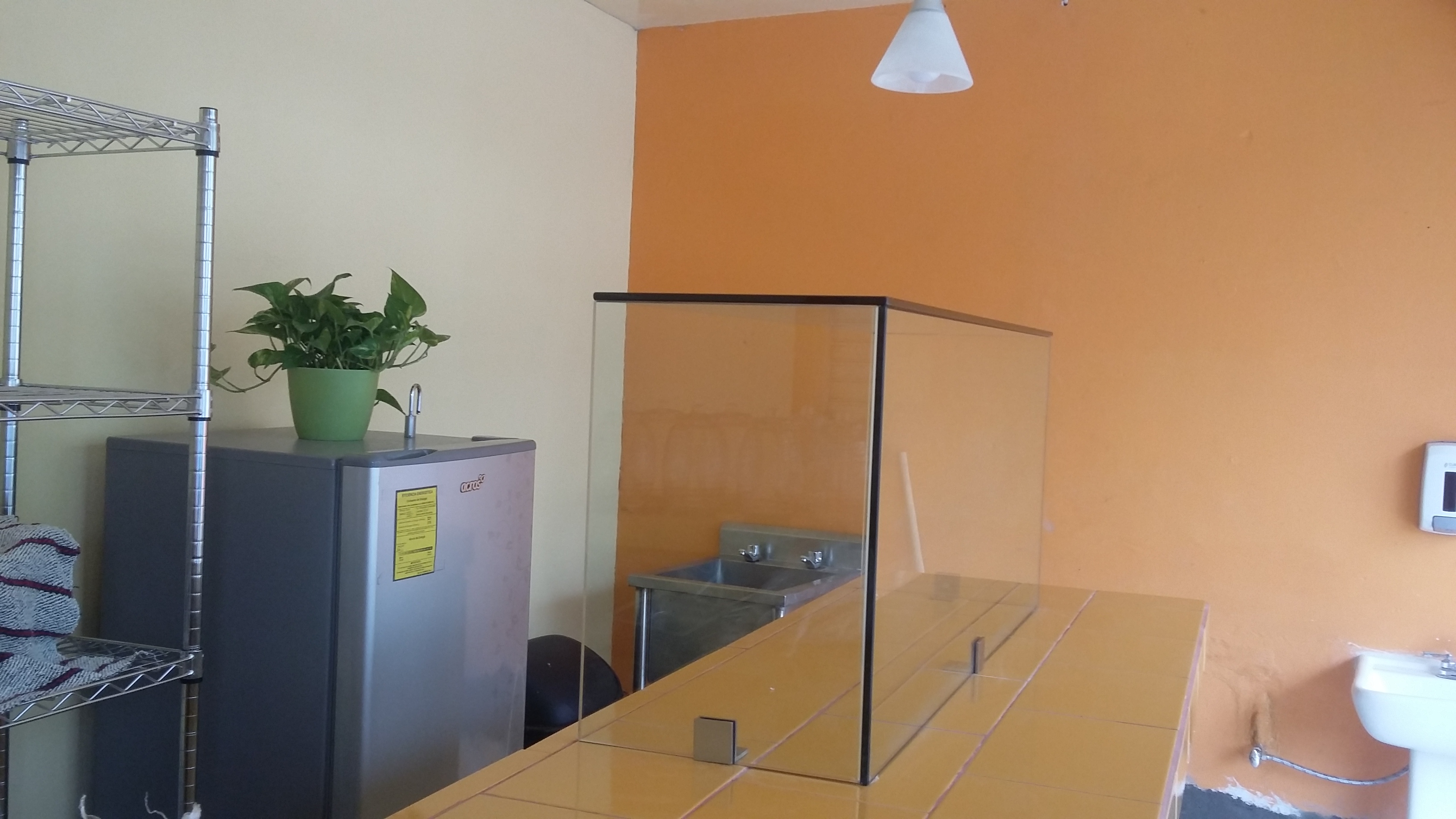 Restaurante los treboles image 5