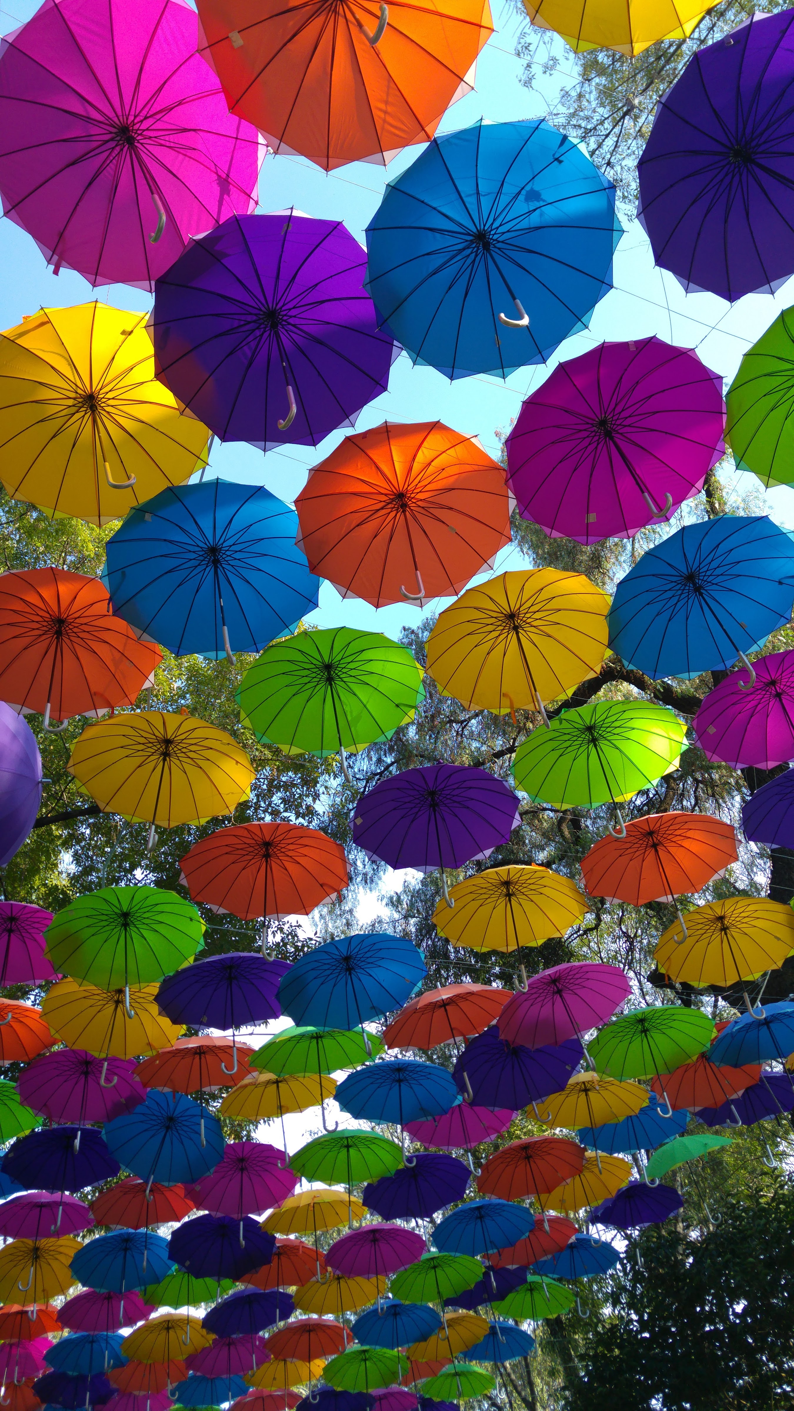 Restaurante los treboles image 10