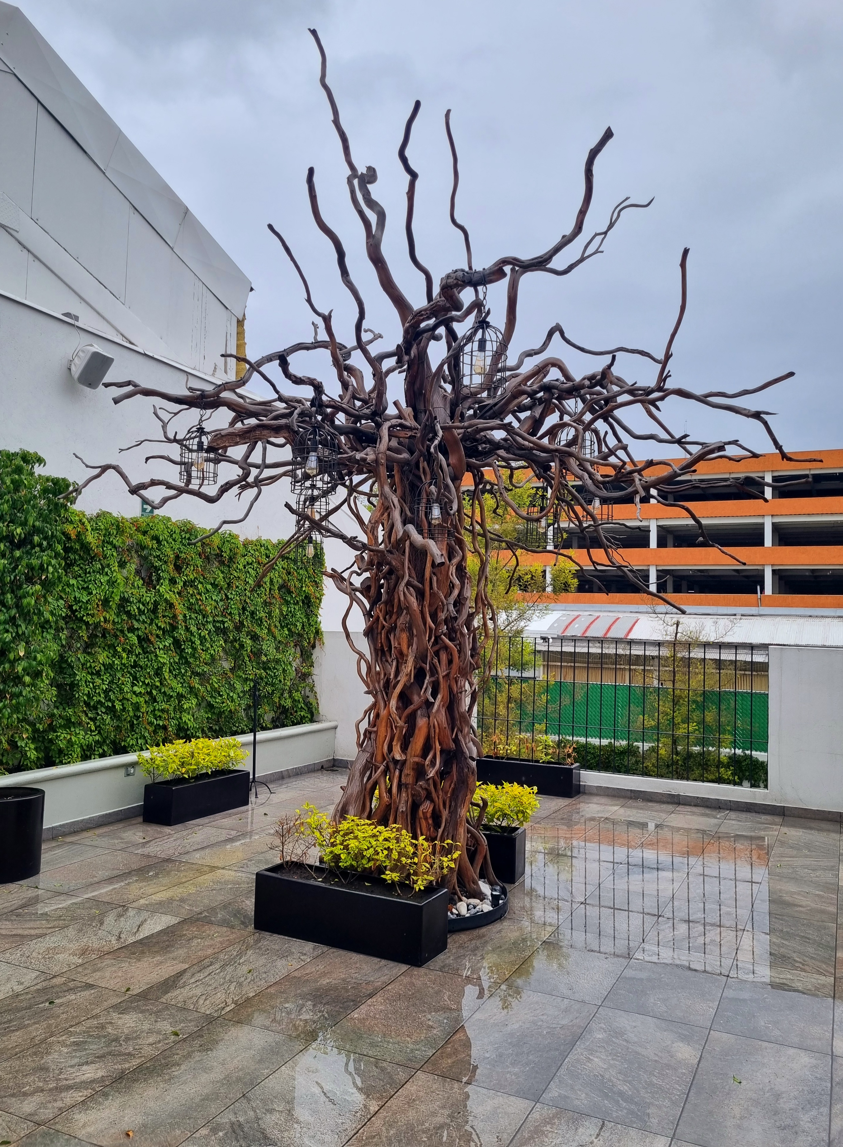 MOL cocina tradicional mexicana image 4