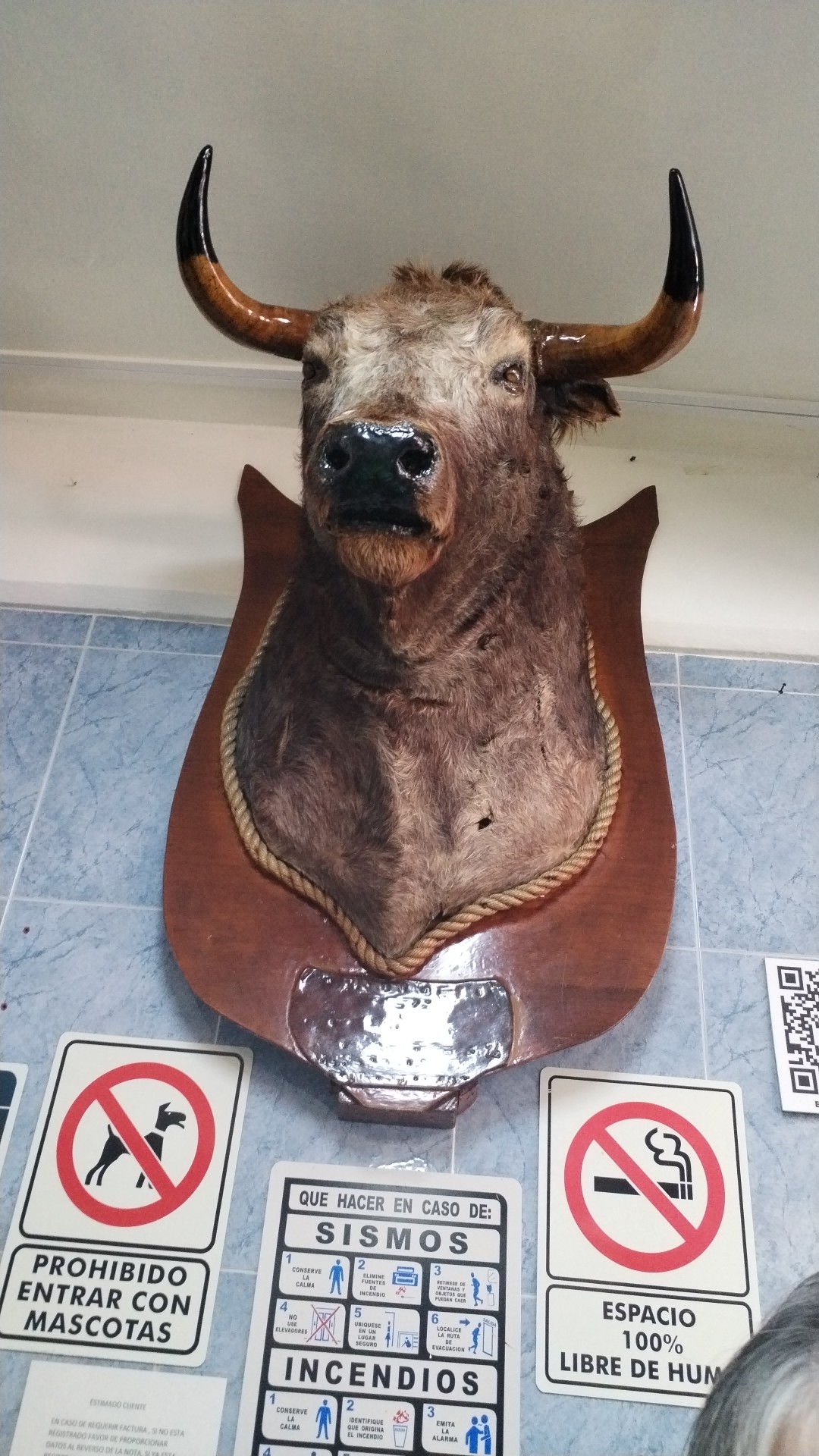 Tacos " Los paisas " est.1968 image 8